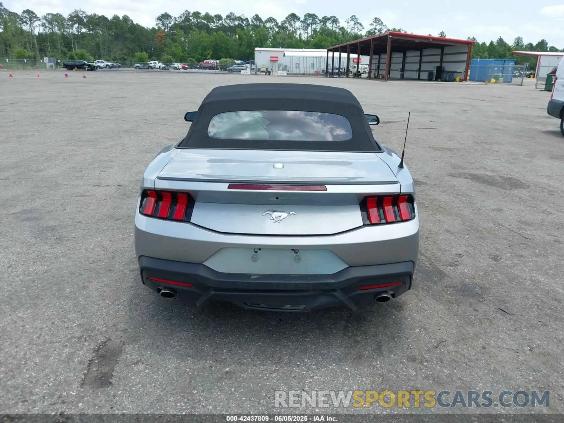 16 Photograph of a damaged car 1FAGP8UH5R5125087 FORD MUSTANG 2024