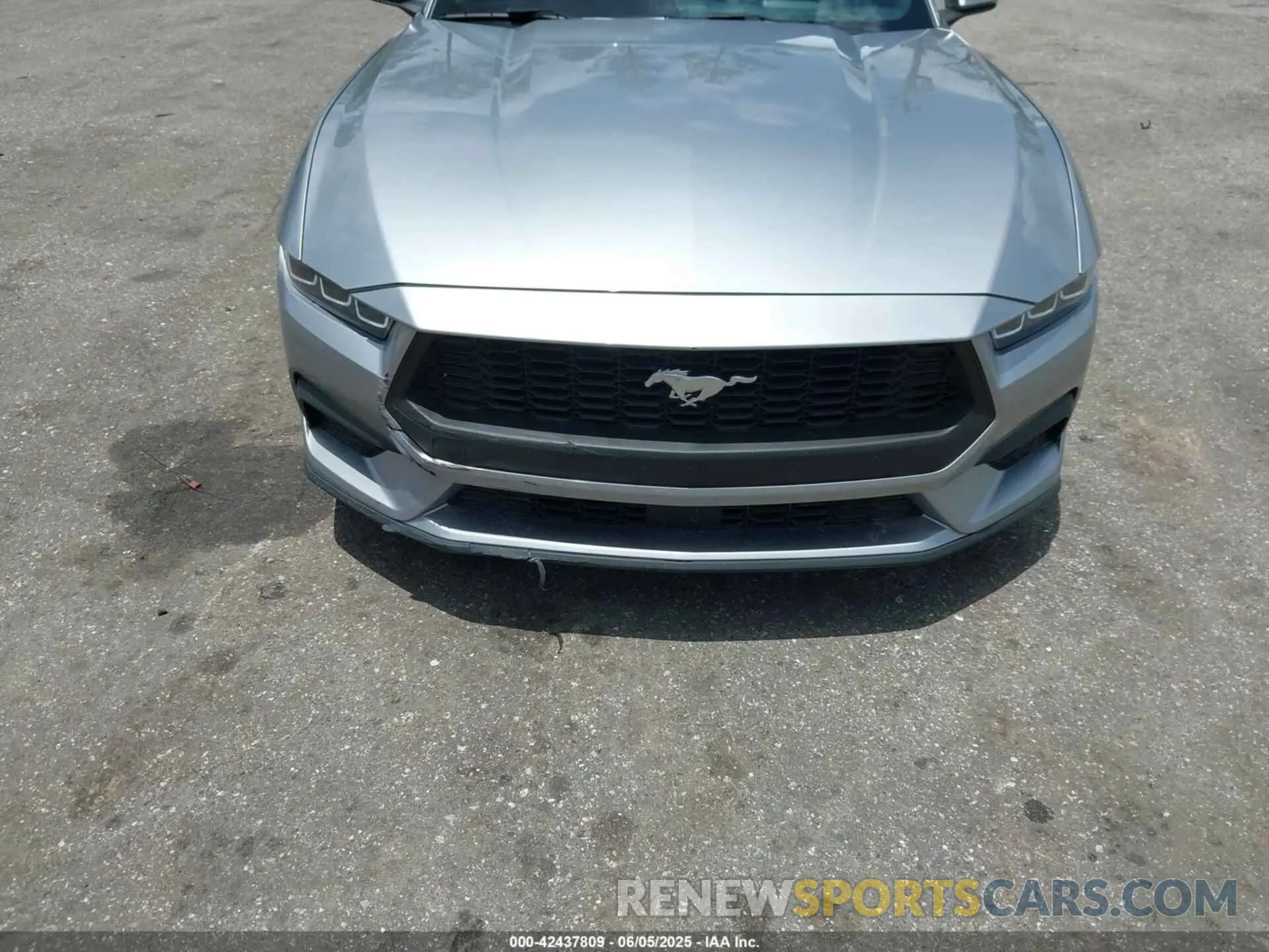 17 Photograph of a damaged car 1FAGP8UH5R5125087 FORD MUSTANG 2024