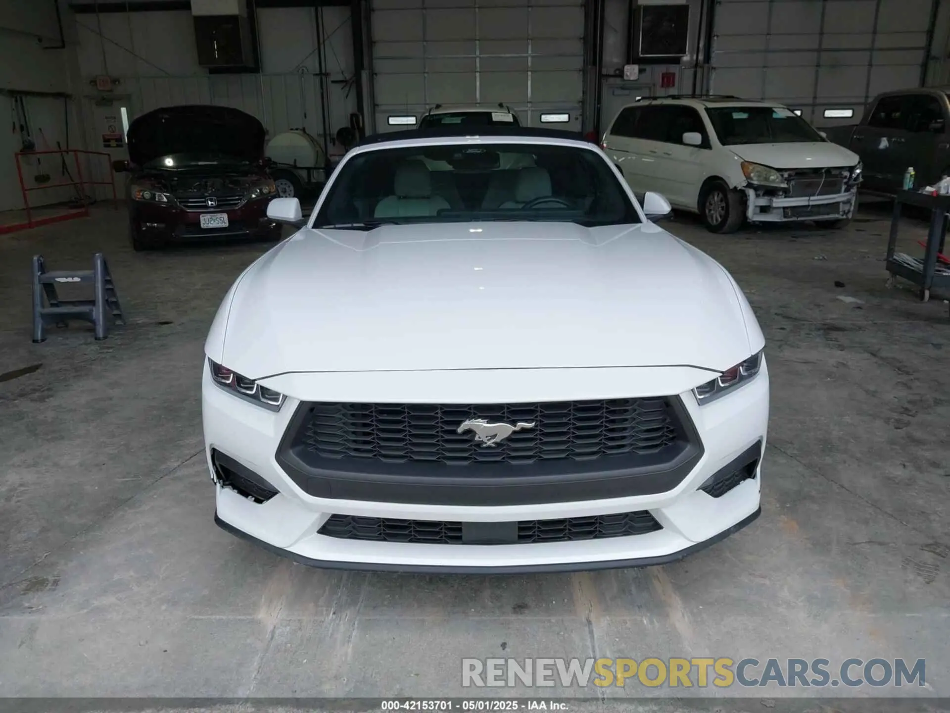 11 Photograph of a damaged car 1FAGP8UH5R5129527 FORD MUSTANG 2024