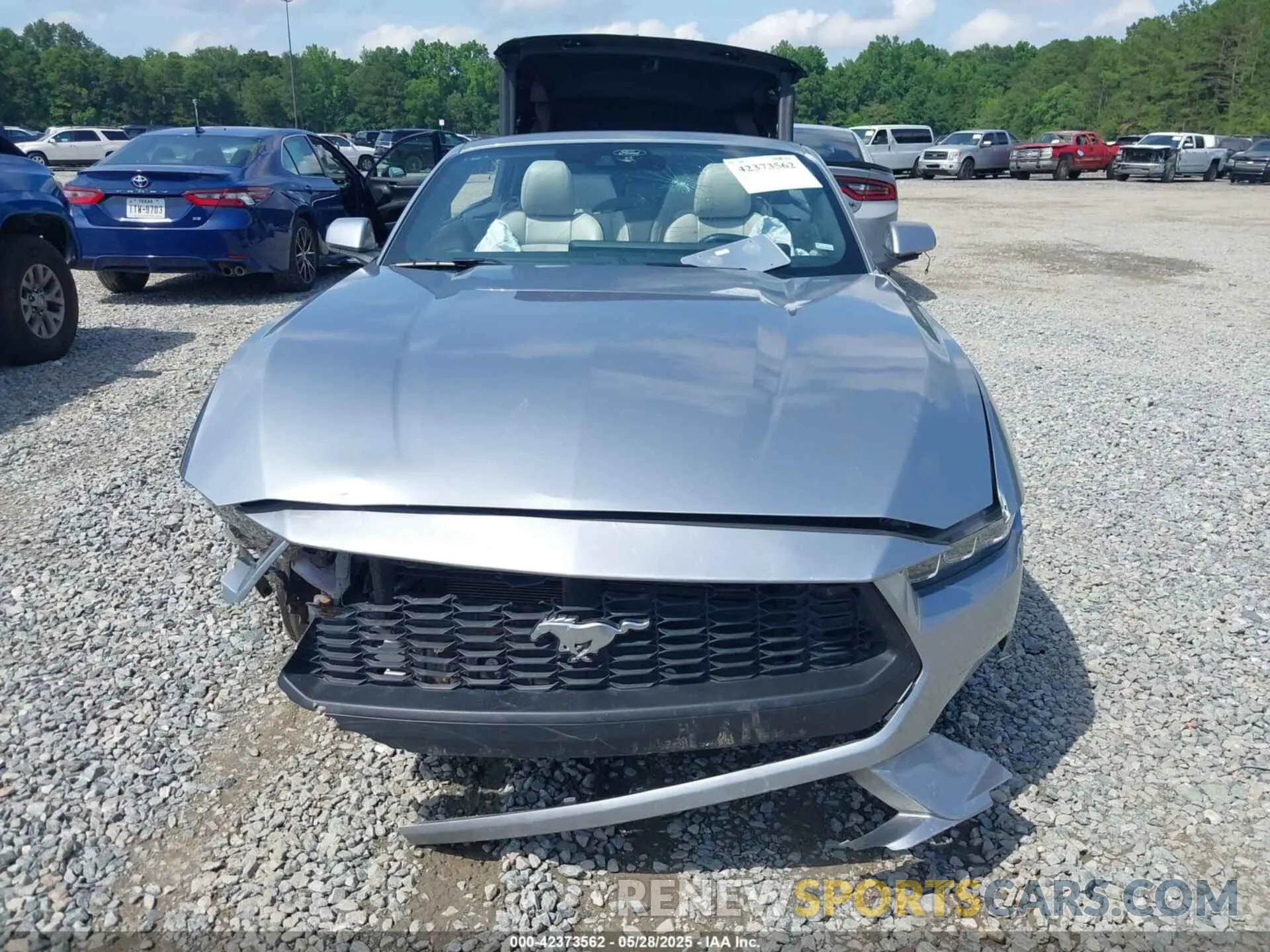 12 Photograph of a damaged car 1FAGP8UH6R5126295 FORD MUSTANG 2024