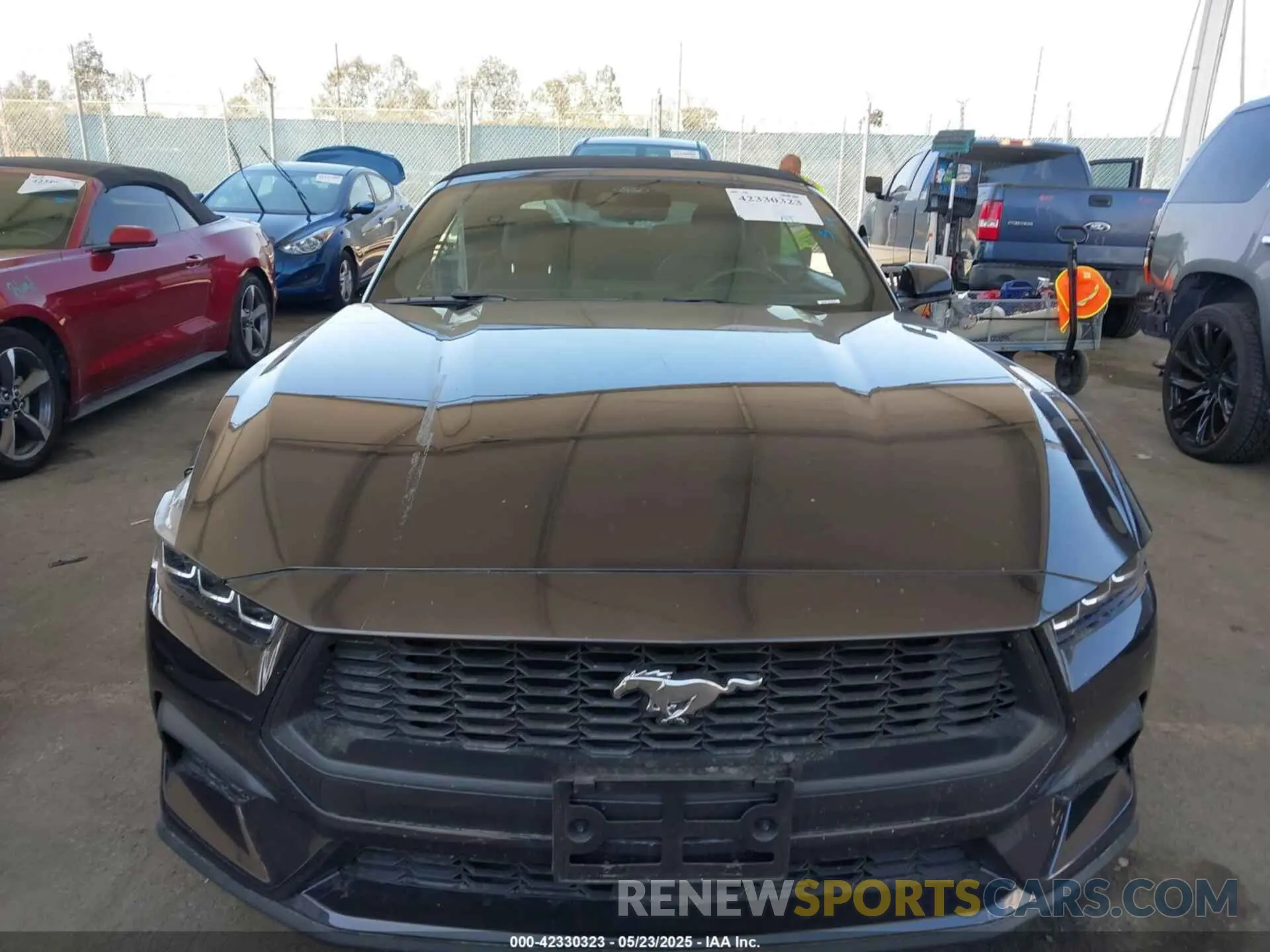 13 Photograph of a damaged car 1FAGP8UH8R5141686 FORD MUSTANG 2024
