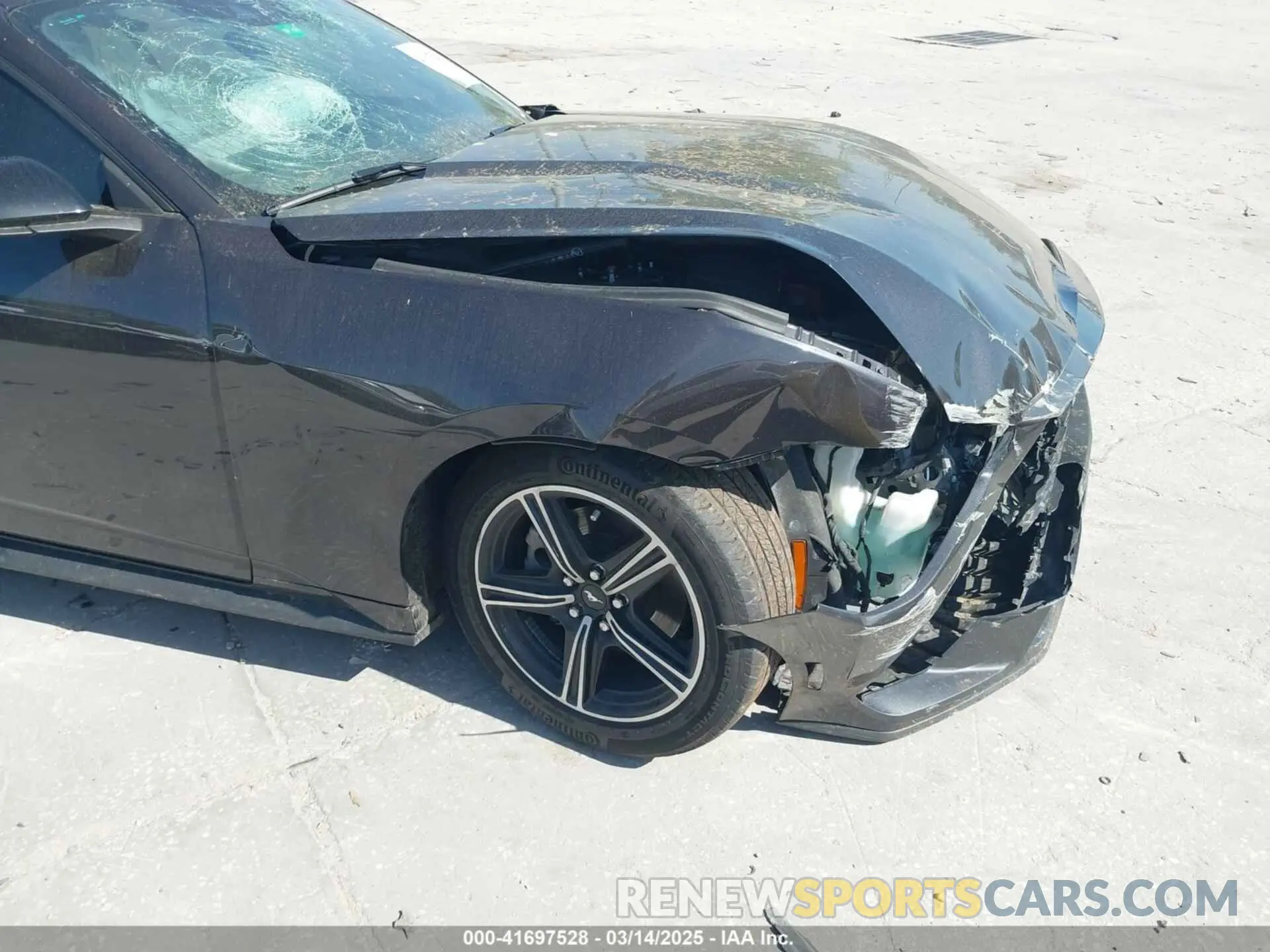 19 Photograph of a damaged car 1FAGP8UH9R5112553 FORD MUSTANG 2024