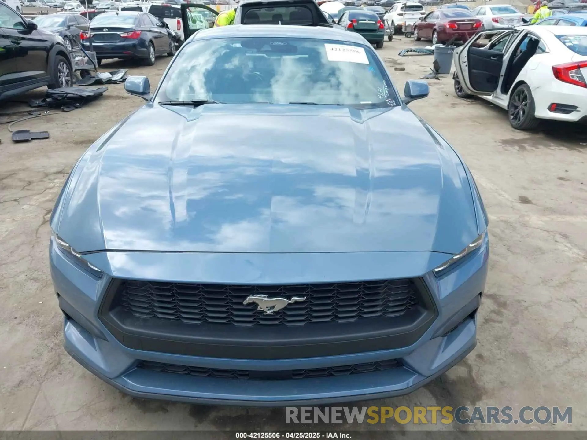 11 Photograph of a damaged car 1FA6P8TH8S5101594 FORD MUSTANG 2025