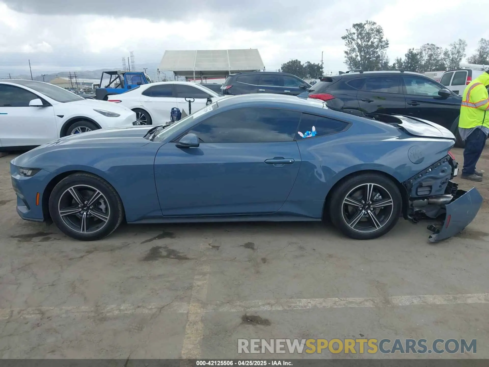 13 Photograph of a damaged car 1FA6P8TH8S5101594 FORD MUSTANG 2025
