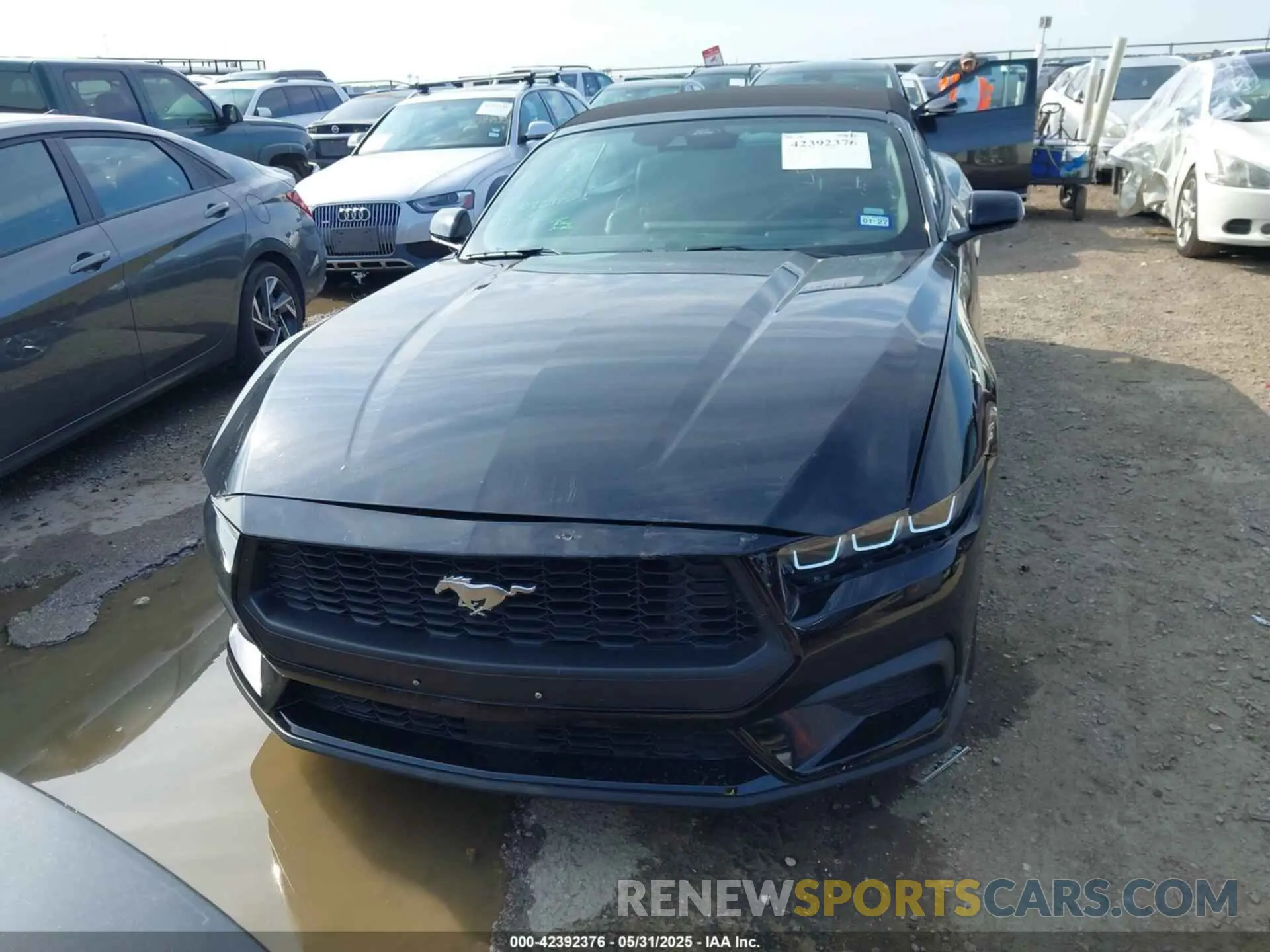 12 Photograph of a damaged car 1FAGP8UH8S5110623 FORD MUSTANG 2025