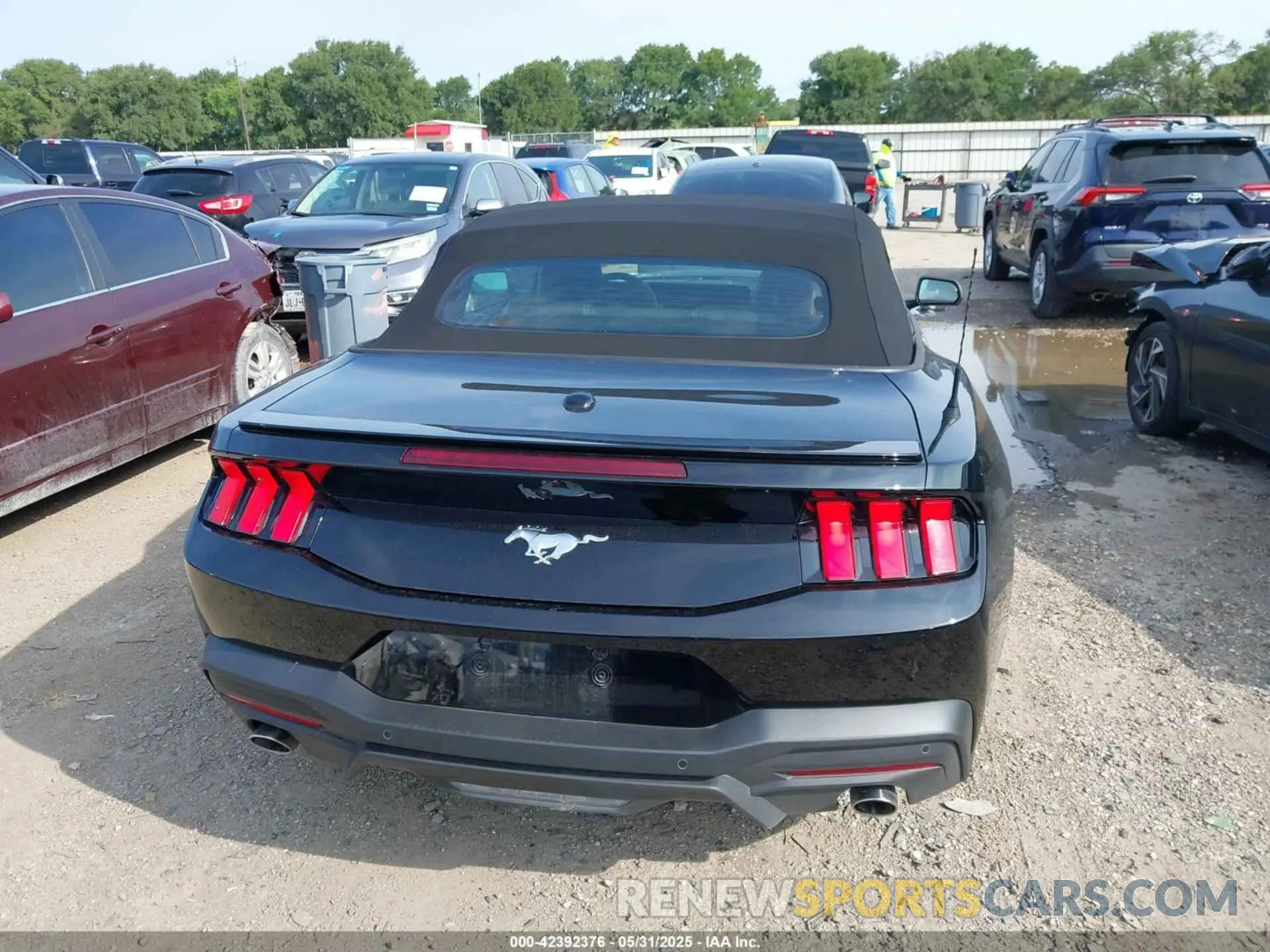 16 Photograph of a damaged car 1FAGP8UH8S5110623 FORD MUSTANG 2025