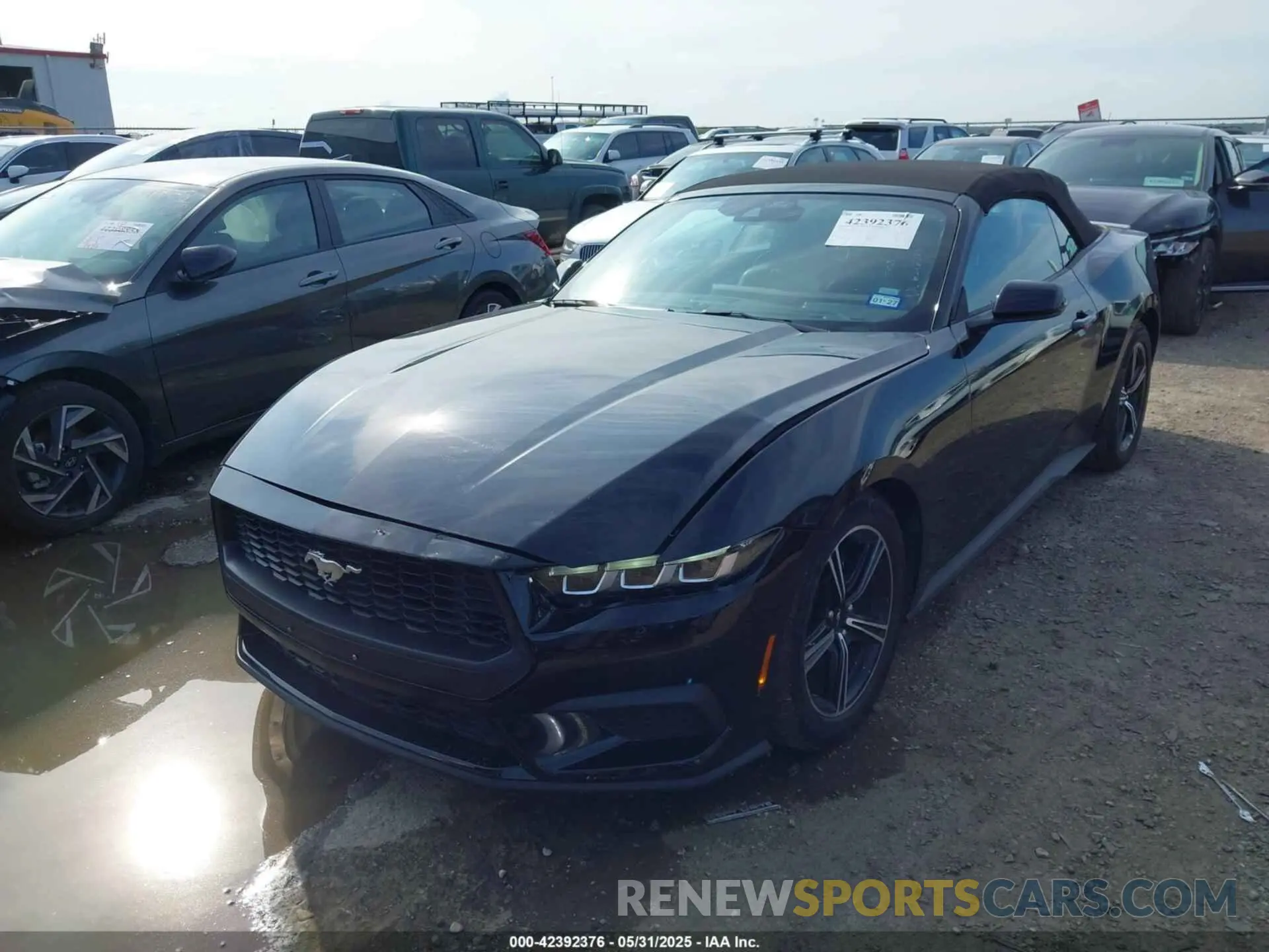 2 Photograph of a damaged car 1FAGP8UH8S5110623 FORD MUSTANG 2025