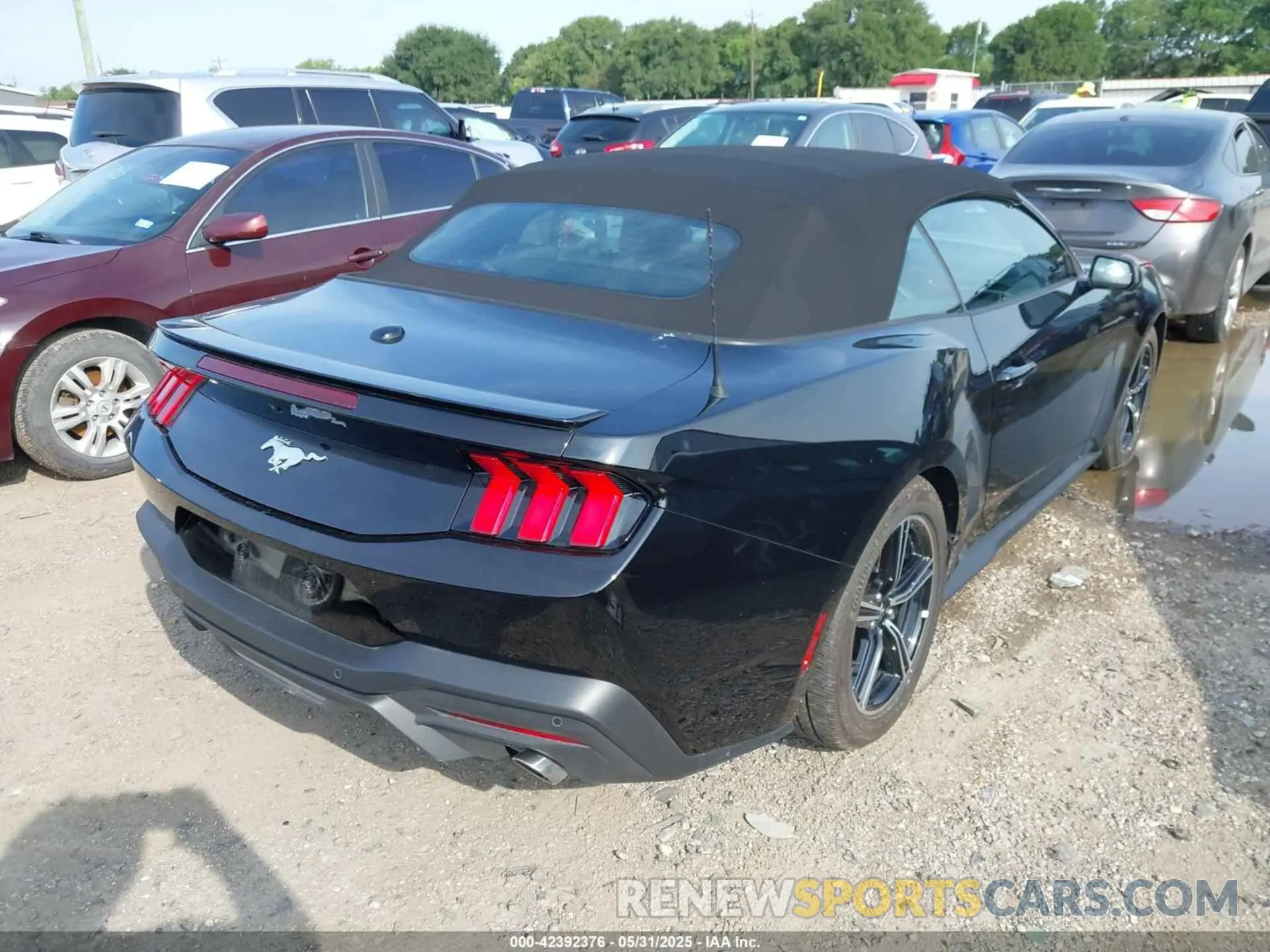 4 Photograph of a damaged car 1FAGP8UH8S5110623 FORD MUSTANG 2025