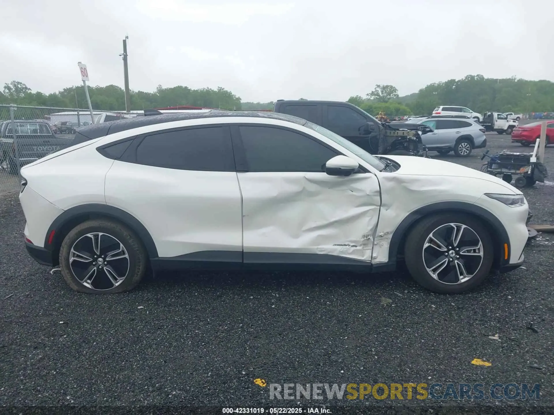 13 Photograph of a damaged car 3FMTK1SS1MMA57172 FORD MUSTANG MACH-E 2021