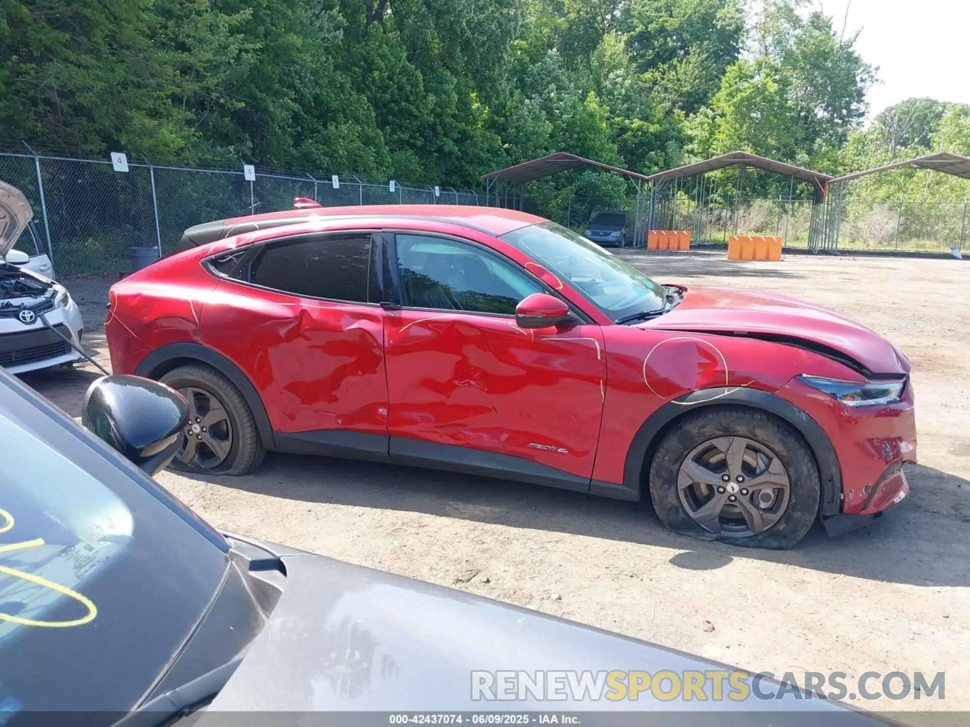 13 Photograph of a damaged car 3FMTK1SS1MMA59195 FORD MUSTANG MACH-E 2021