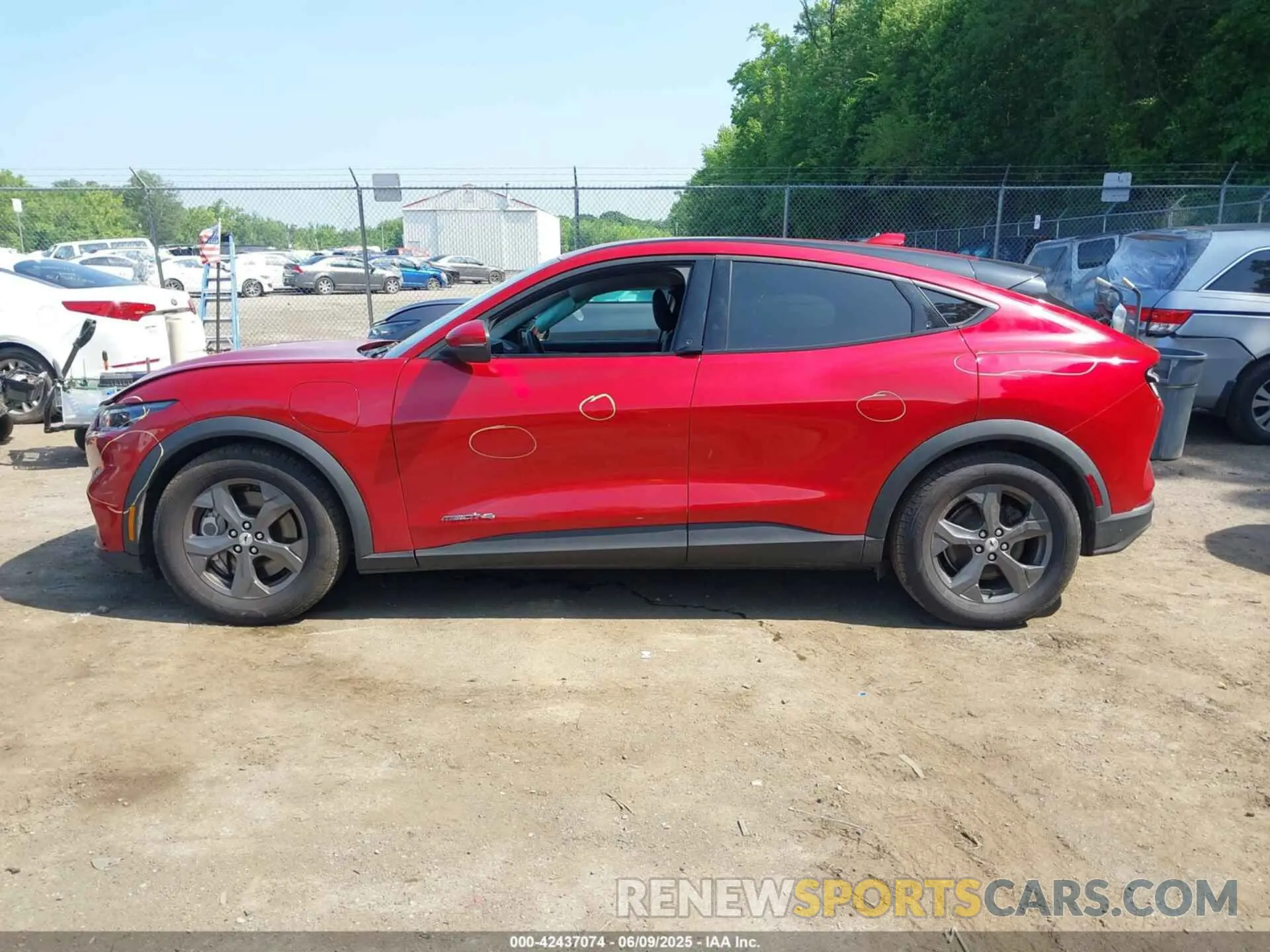 14 Photograph of a damaged car 3FMTK1SS1MMA59195 FORD MUSTANG MACH-E 2021