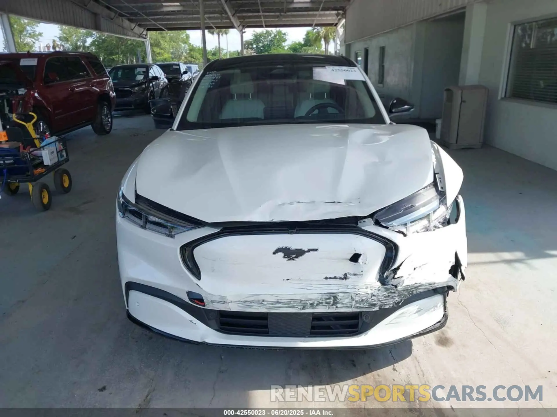 12 Photograph of a damaged car 3FMTK3SS7MMA25127 FORD MUSTANG MACH-E 2021