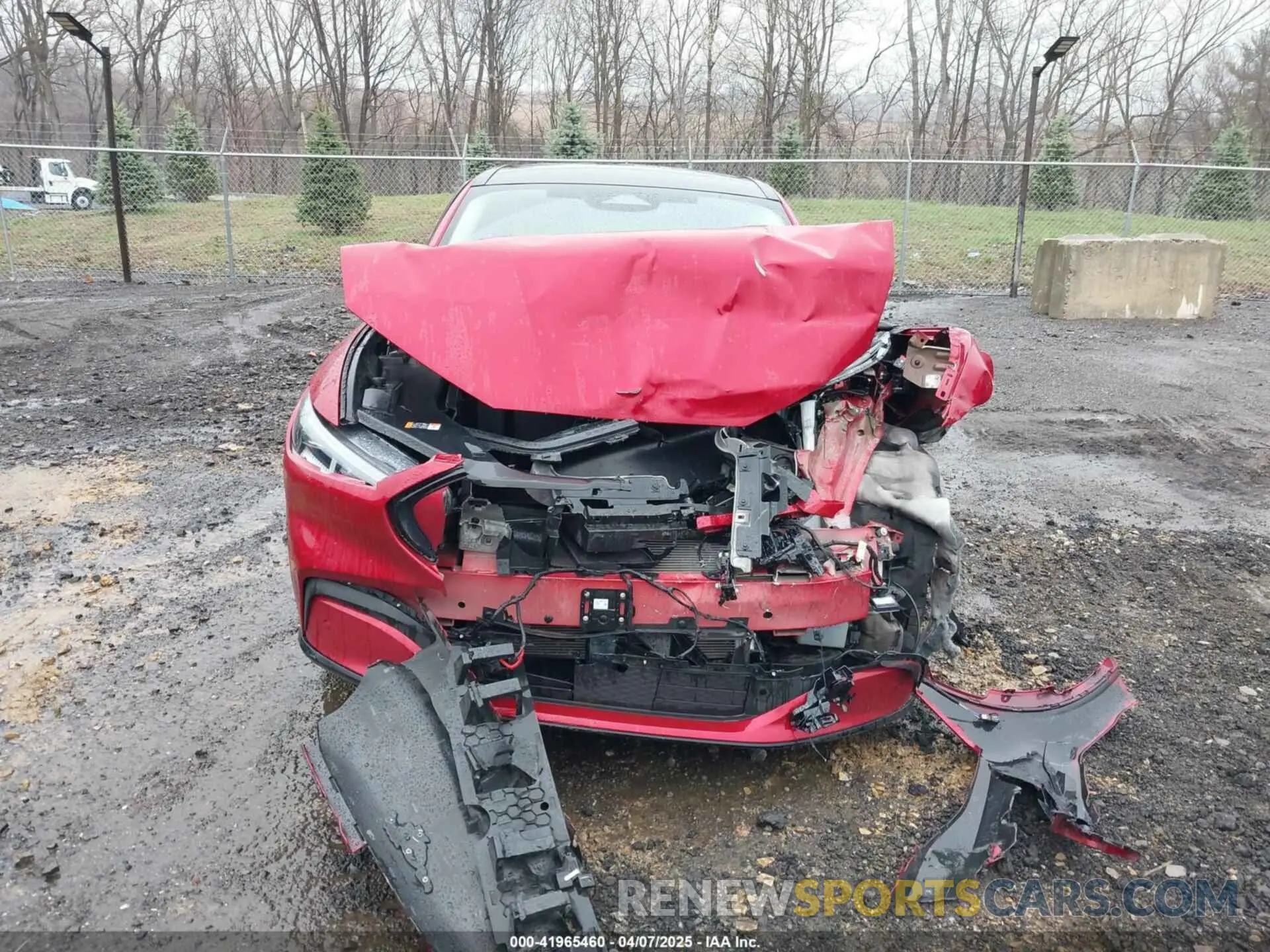 12 Photograph of a damaged car 3FMTK3SU7MMA51535 FORD MUSTANG MACH-E 2021