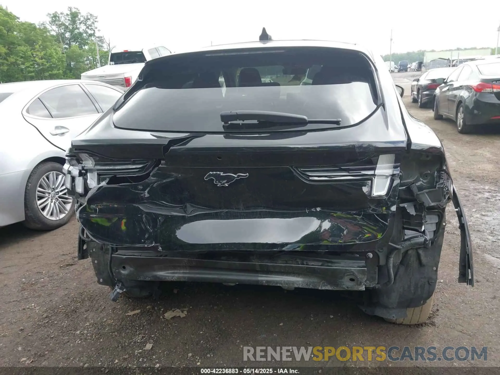 16 Photograph of a damaged car 3FMTK3SU7MMA58565 FORD MUSTANG MACH-E 2021
