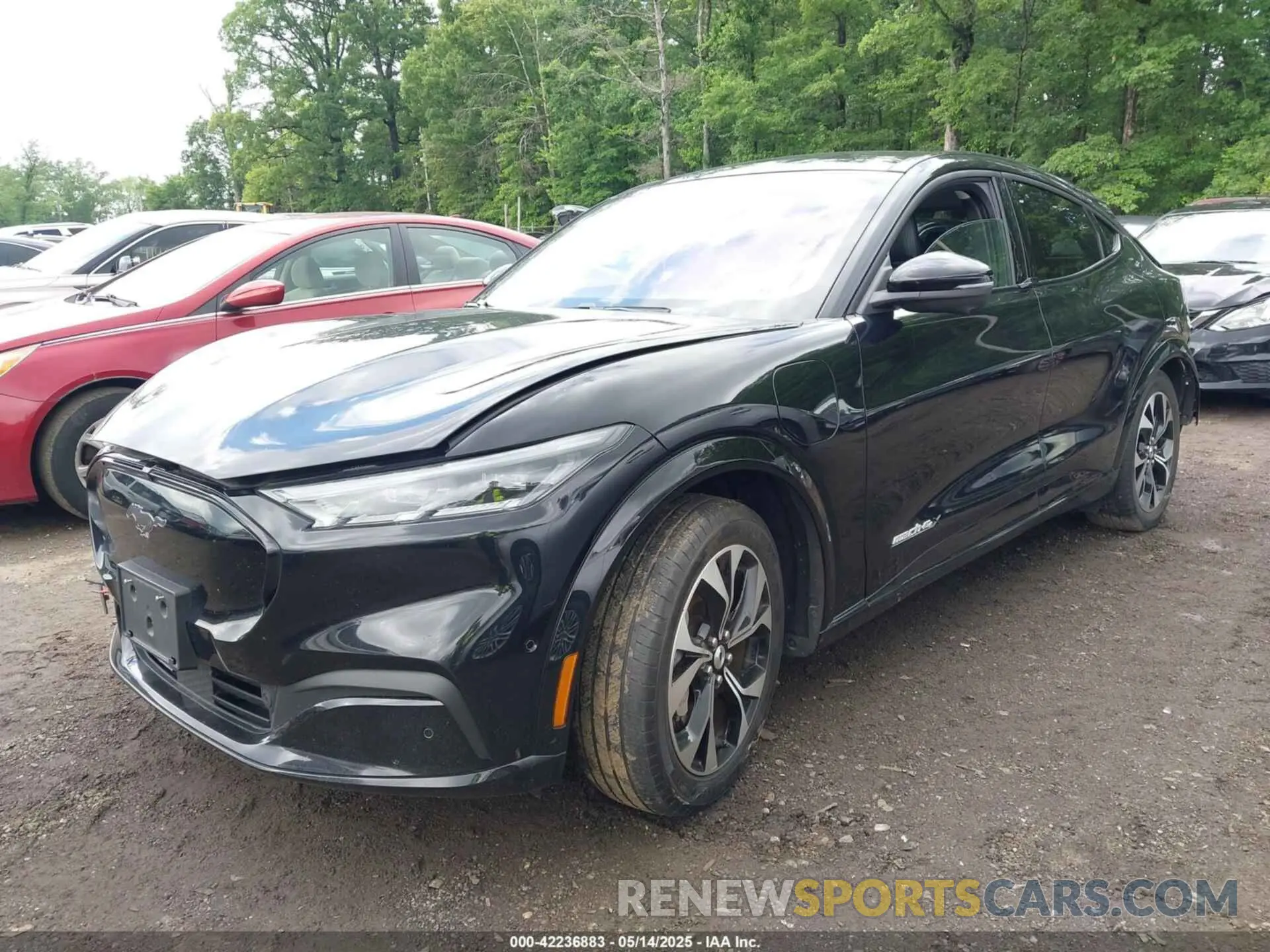 2 Photograph of a damaged car 3FMTK3SU7MMA58565 FORD MUSTANG MACH-E 2021