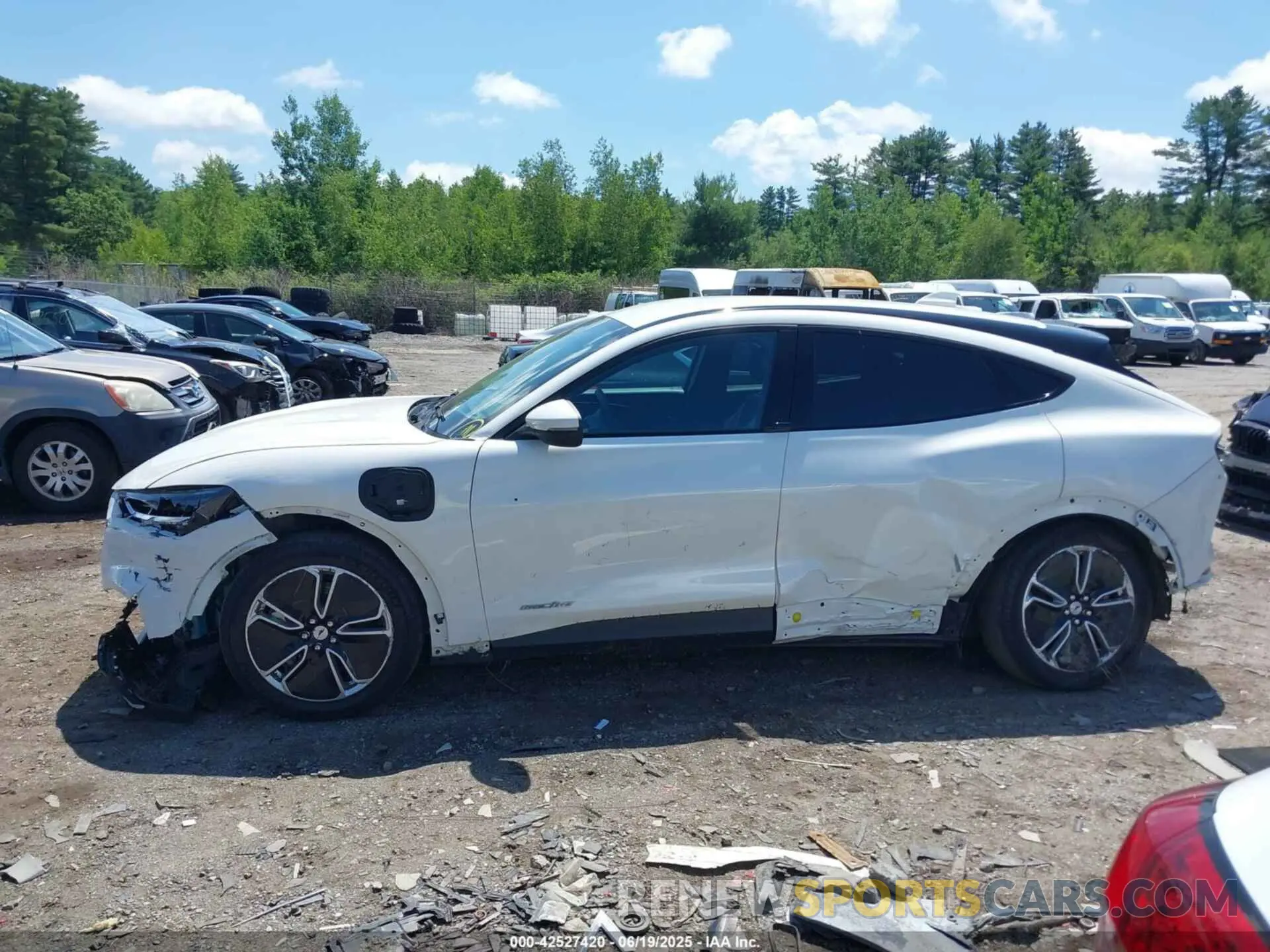 14 Photograph of a damaged car 3FMTK1RM1NMA28893 FORD MUSTANG MACH-E 2022