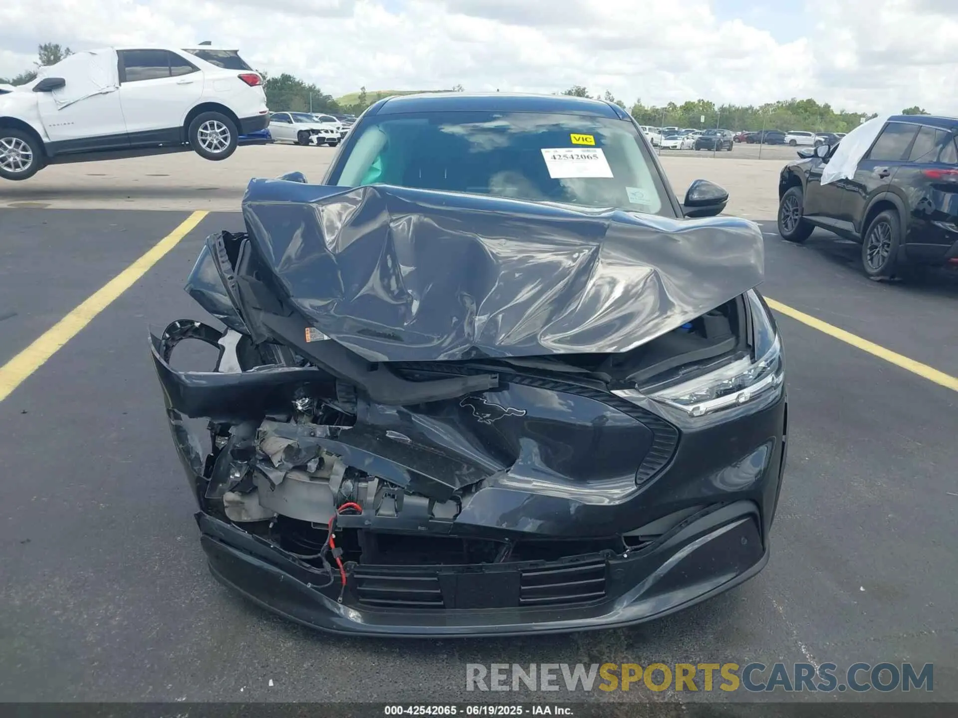 12 Photograph of a damaged car 3FMTK1RM4NMA41461 FORD MUSTANG MACH-E 2022