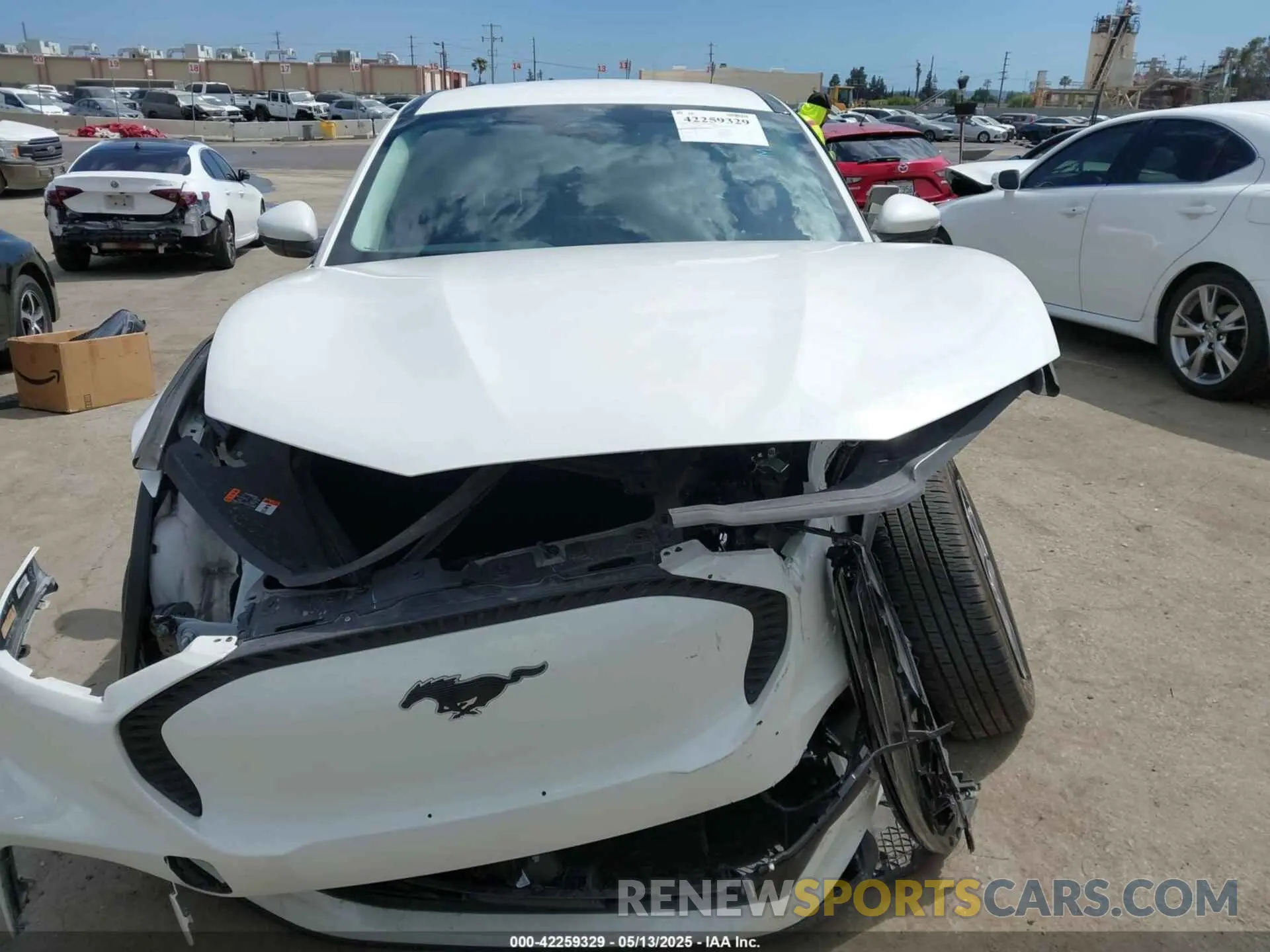 12 Photograph of a damaged car 3FMTK1RM9NMA28589 FORD MUSTANG MACH-E 2022