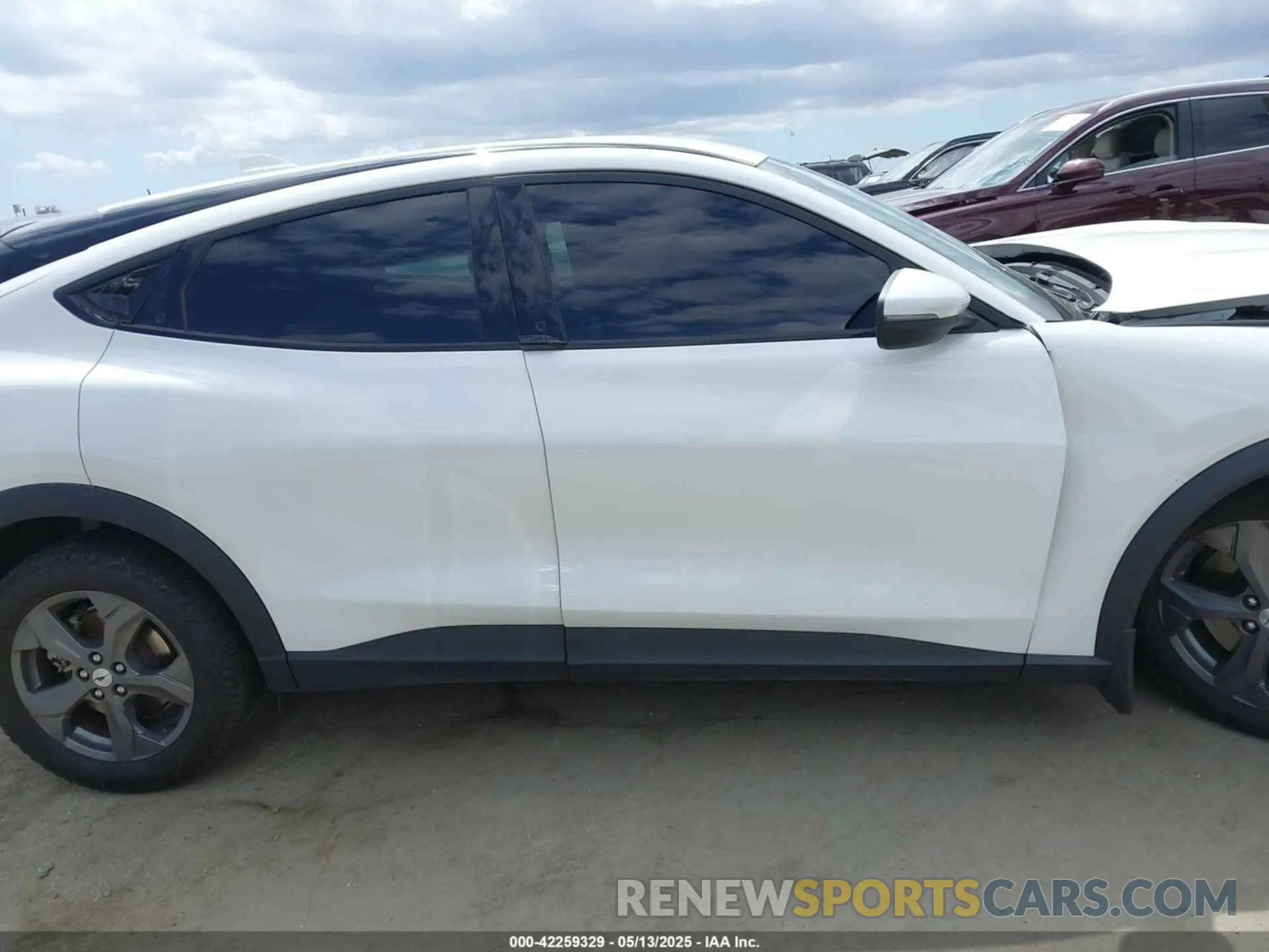 13 Photograph of a damaged car 3FMTK1RM9NMA28589 FORD MUSTANG MACH-E 2022