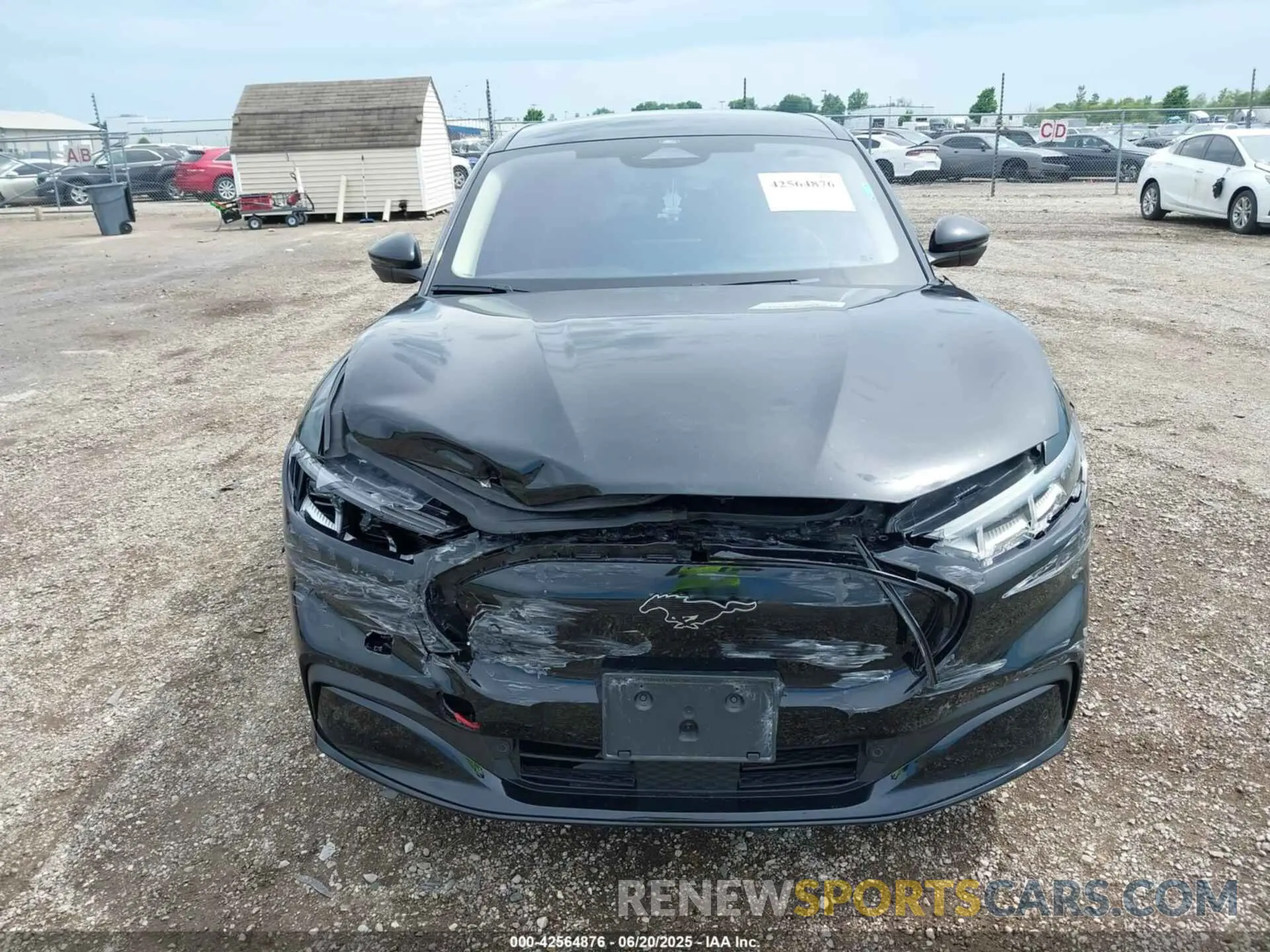 12 Photograph of a damaged car 3FMTK3SU5PMA36780 FORD MUSTANG MACH-E 2023
