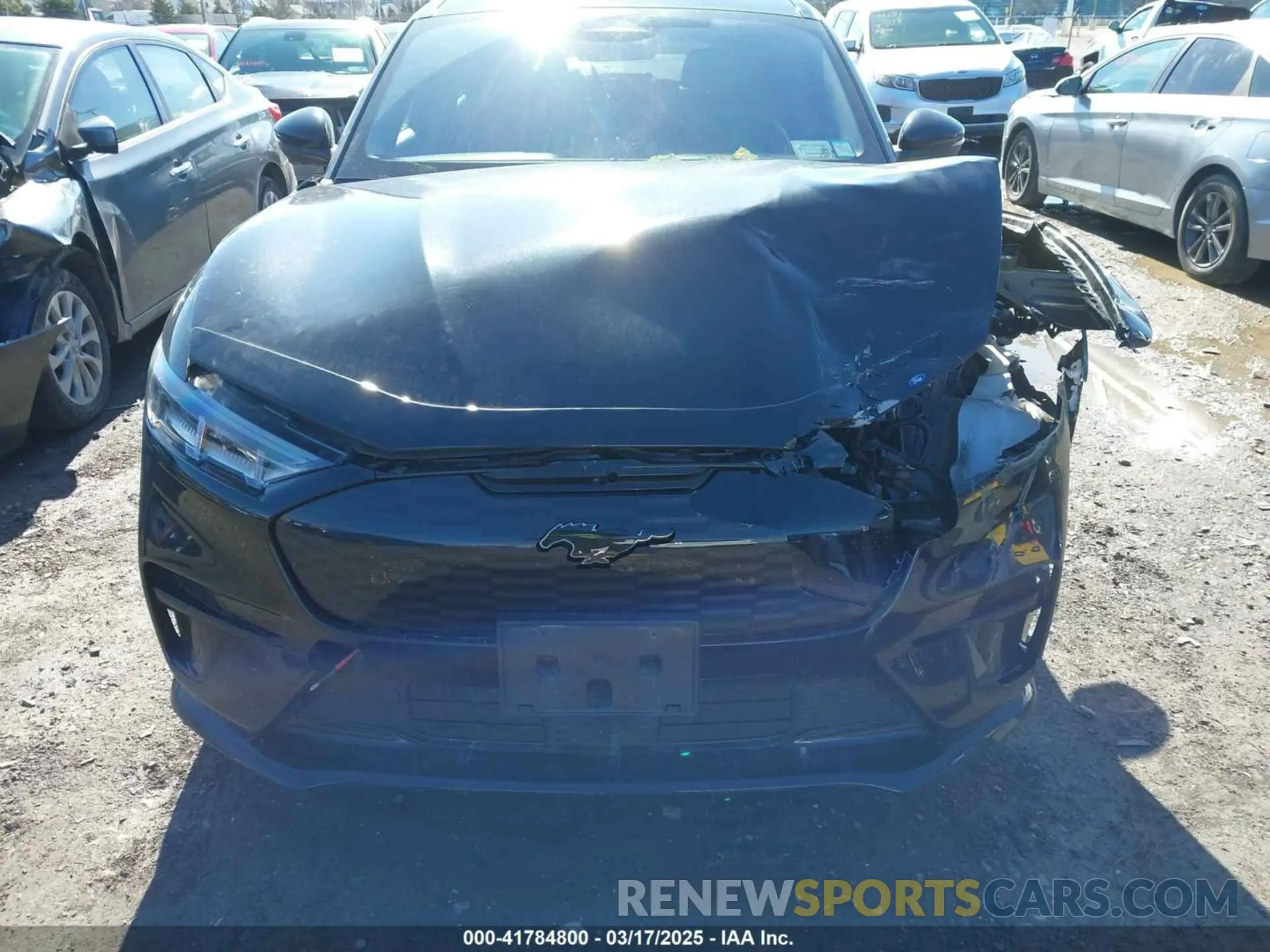 12 Photograph of a damaged car 3FMTK4SE6PMA56325 FORD MUSTANG MACH-E 2023