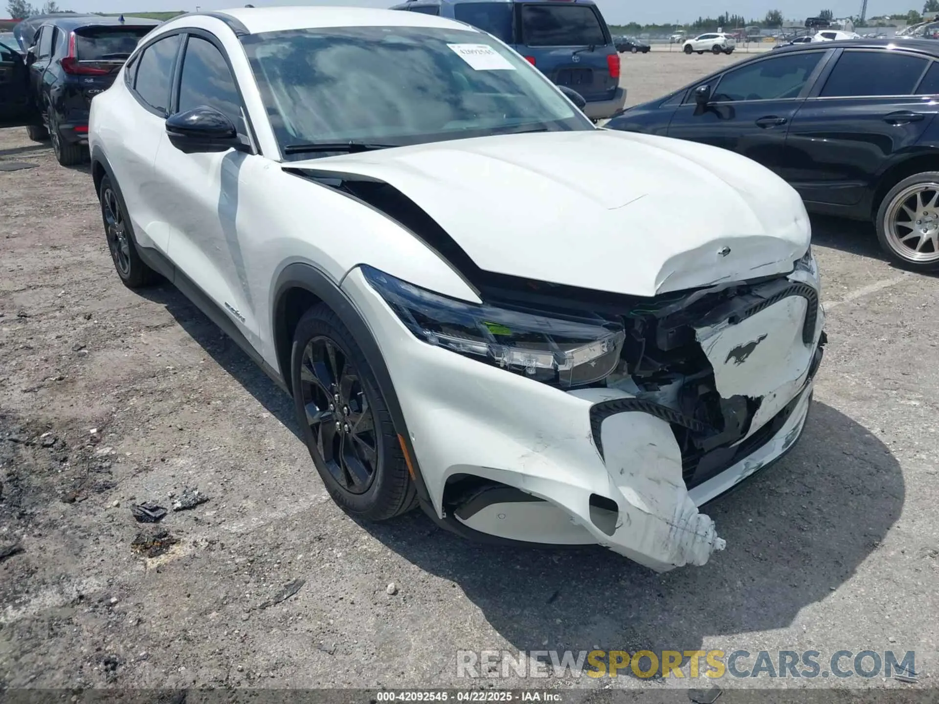 19 Photograph of a damaged car 3FMTK1R47RMA52802 FORD MUSTANG MACH-E 2024