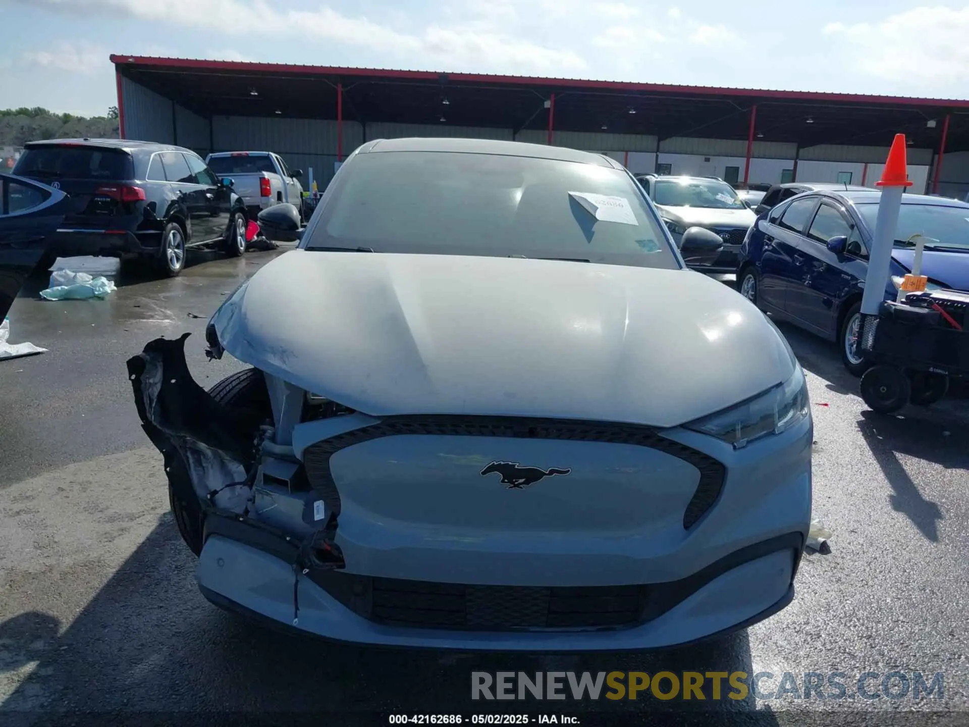 13 Photograph of a damaged car 3FMTK1R49RMA16724 FORD MUSTANG MACH-E 2024