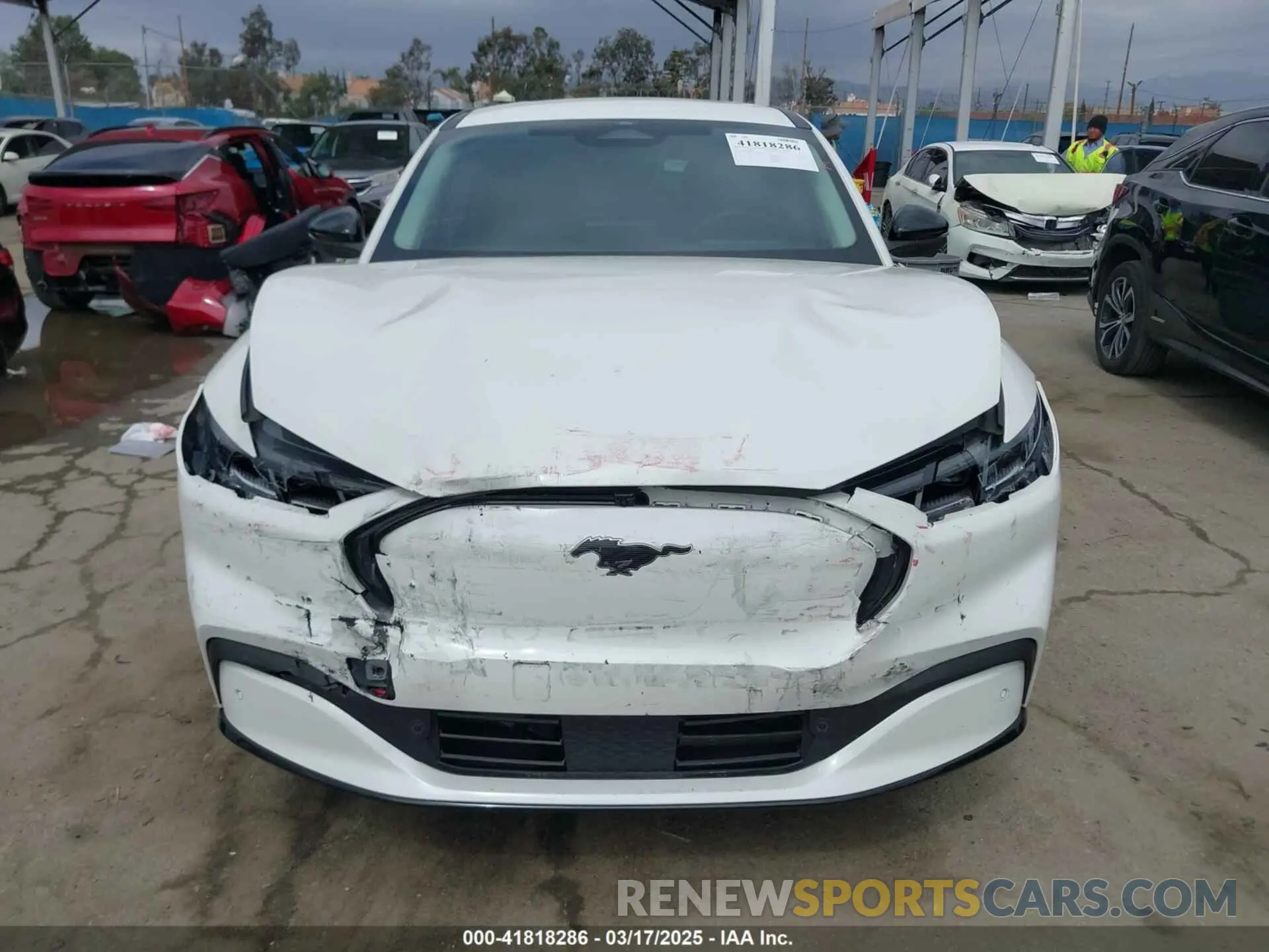 12 Photograph of a damaged car 3FMTK3R48RMA01496 FORD MUSTANG MACH-E 2024