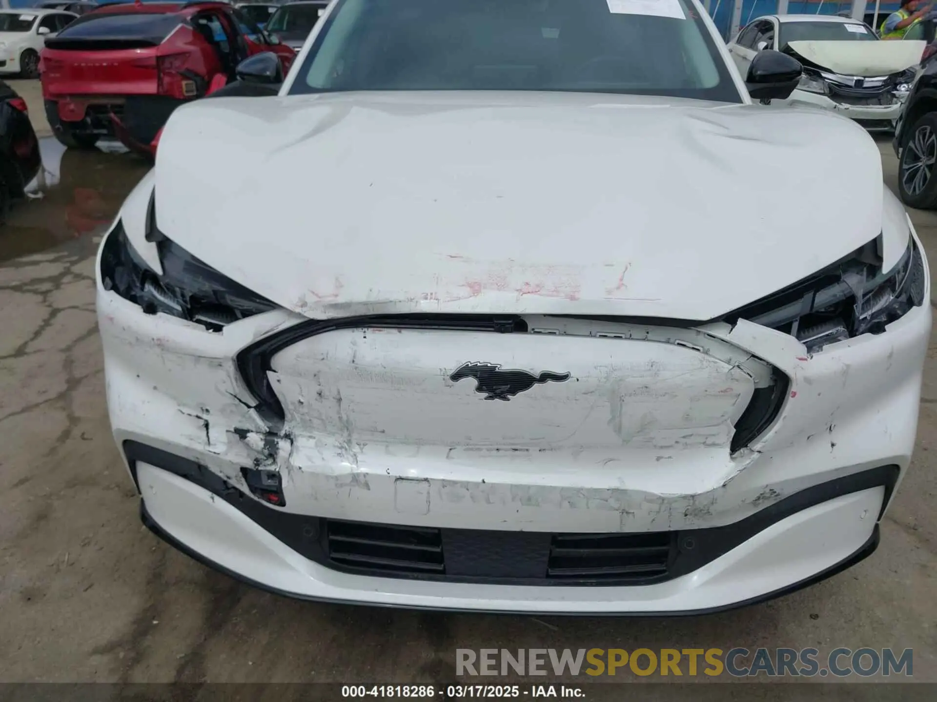 6 Photograph of a damaged car 3FMTK3R48RMA01496 FORD MUSTANG MACH-E 2024