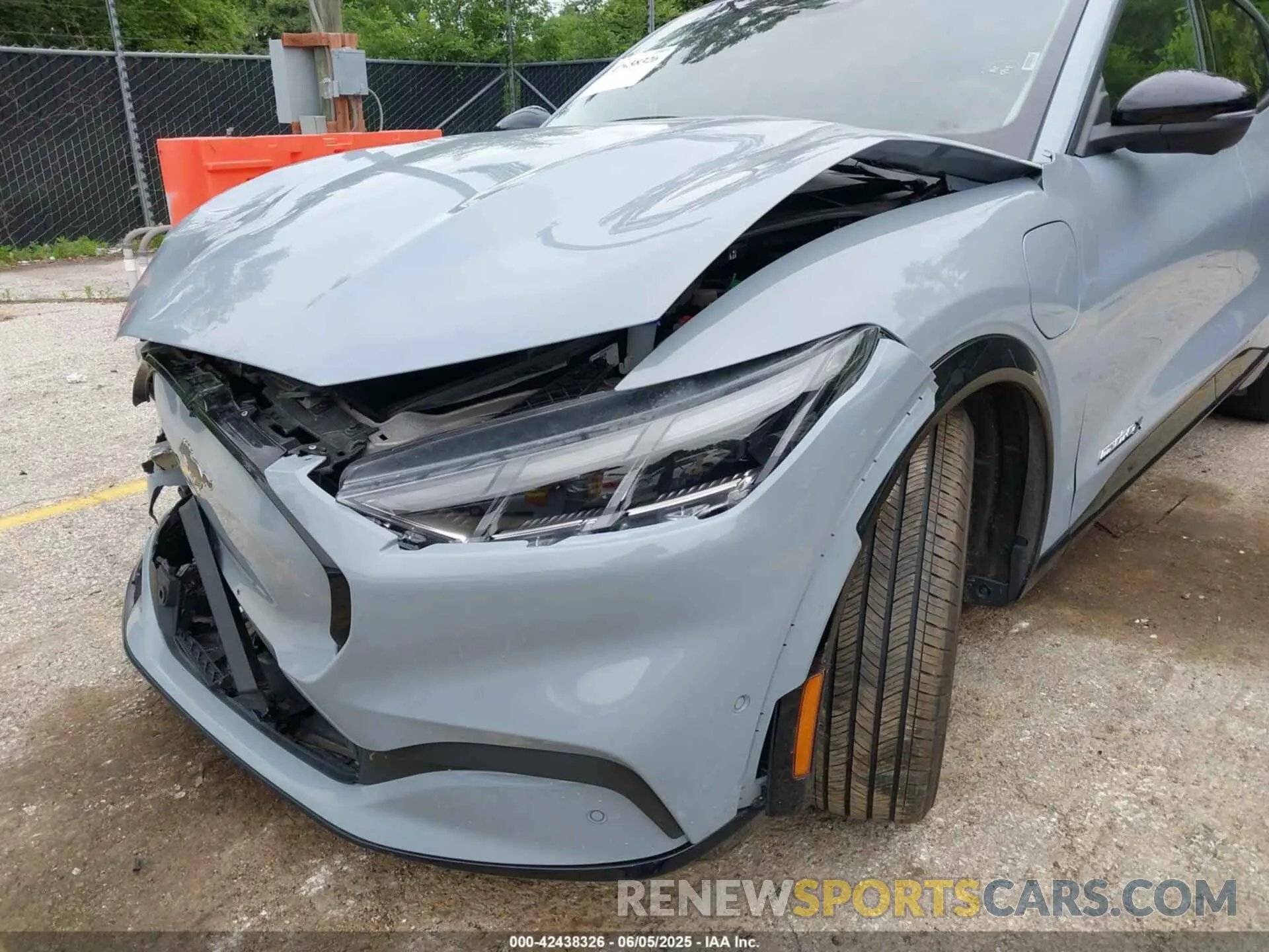 19 Photograph of a damaged car 3FMTK3SU6RMA04259 FORD MUSTANG MACH-E 2024