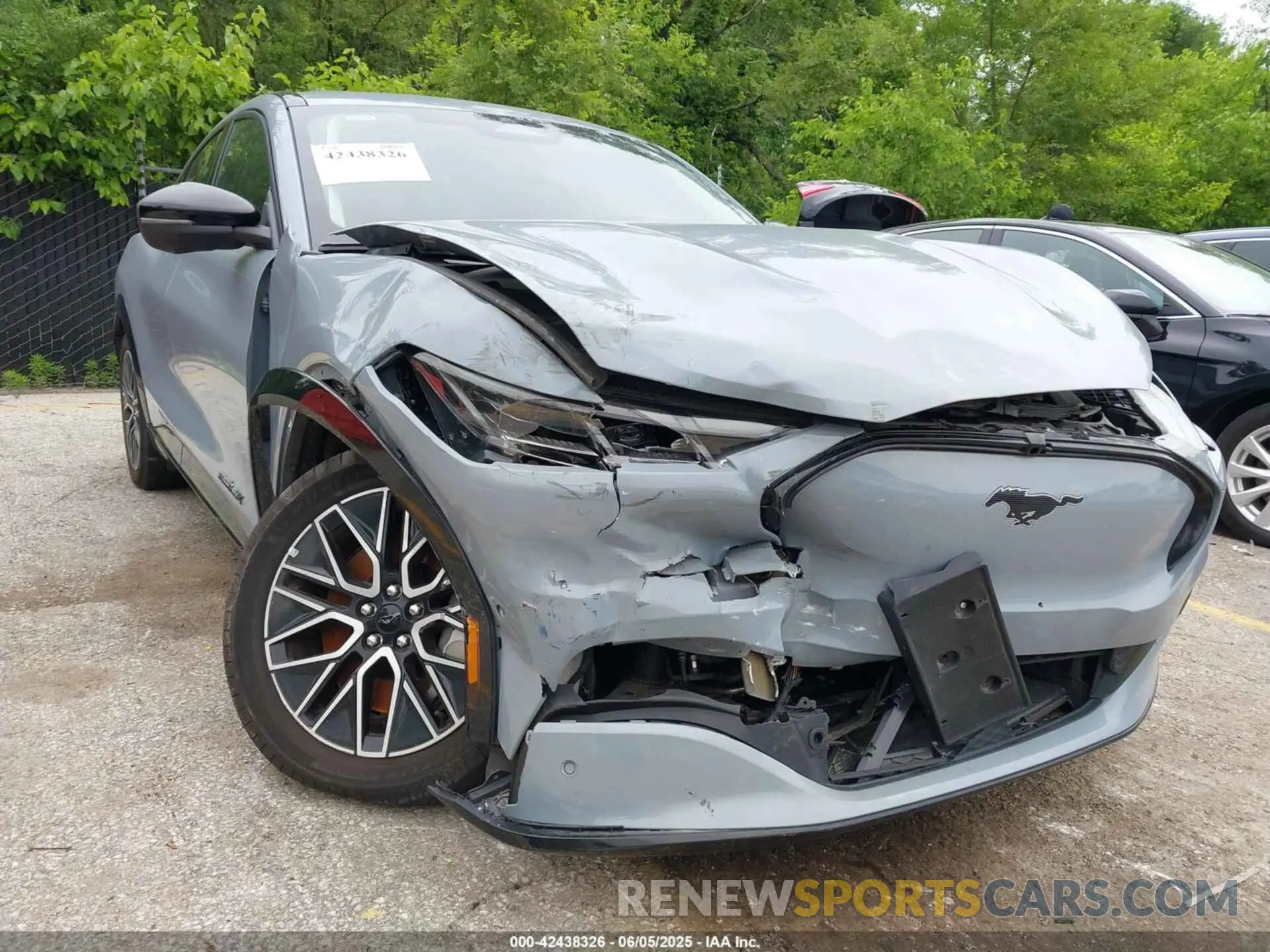 6 Photograph of a damaged car 3FMTK3SU6RMA04259 FORD MUSTANG MACH-E 2024