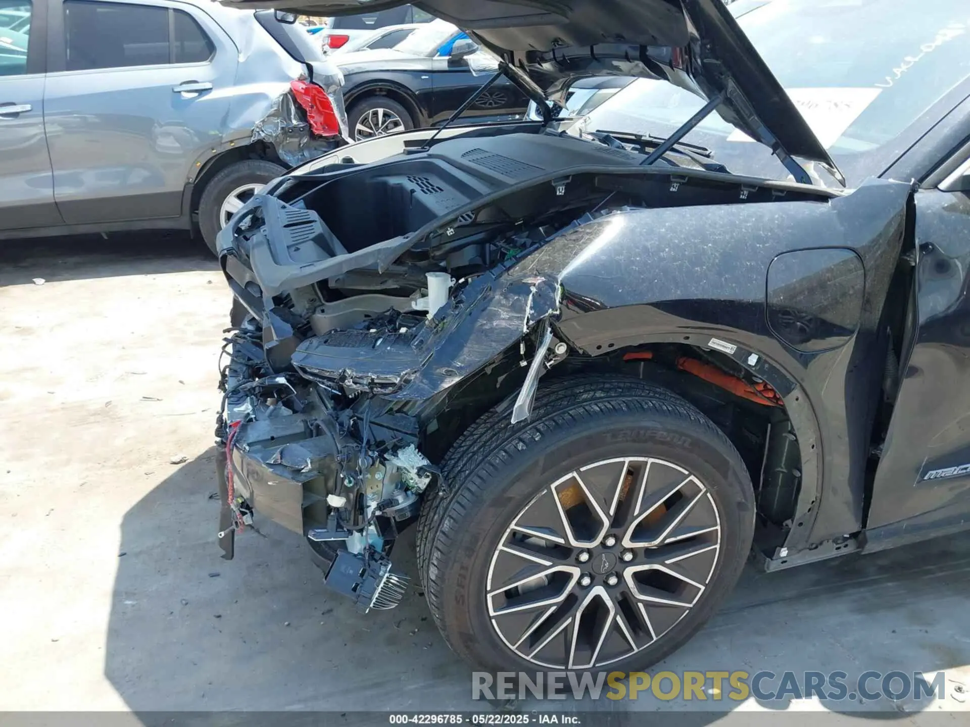 19 Photograph of a damaged car 3FMTK3SU6RMA04875 FORD MUSTANG MACH-E 2024