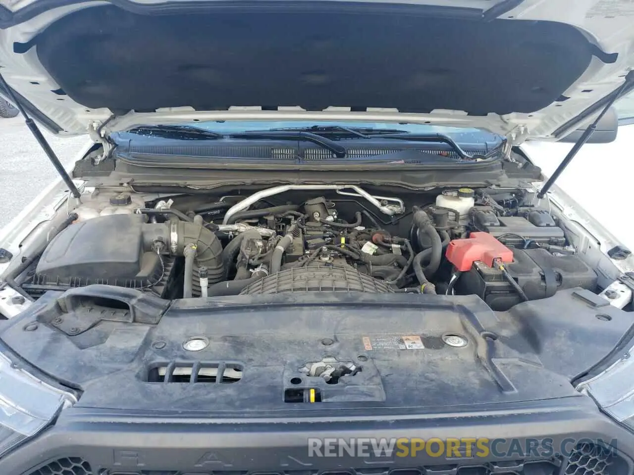 12 Photograph of a damaged car 1FTER1EH1KLA56532 FORD RANGER 2019