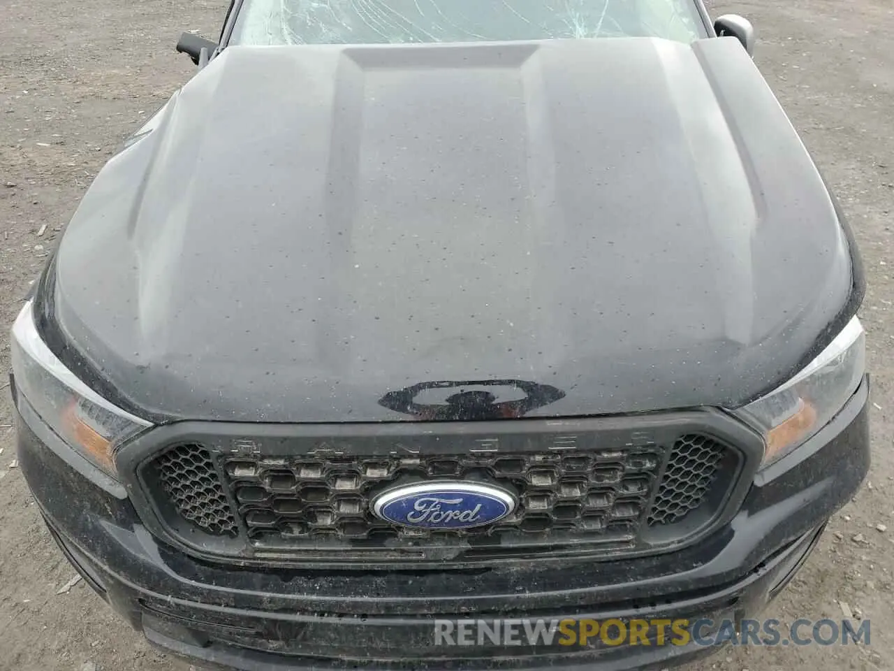 11 Photograph of a damaged car 1FTER1EH2KLB13529 FORD RANGER 2019