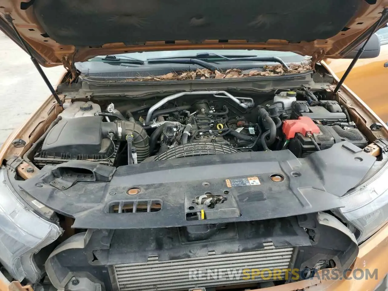 11 Photograph of a damaged car 1FTER4FH5KLA64925 FORD RANGER 2019