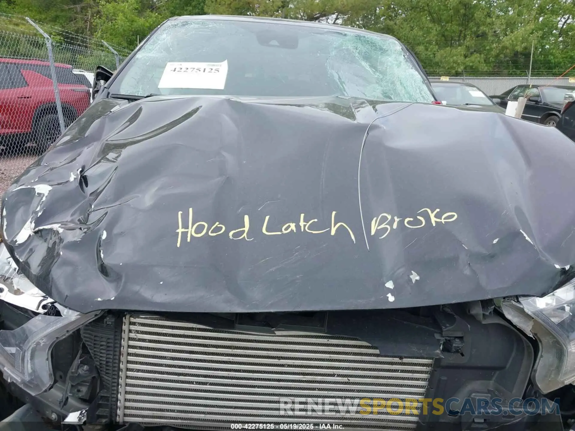 10 Photograph of a damaged car 1FTER4FH8KLA38223 FORD RANGER 2019