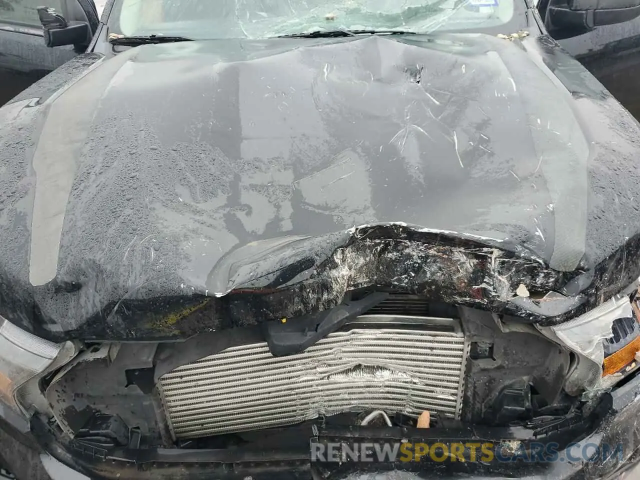 11 Photograph of a damaged car 1FTER4EH2LLA44876 FORD RANGER 2020