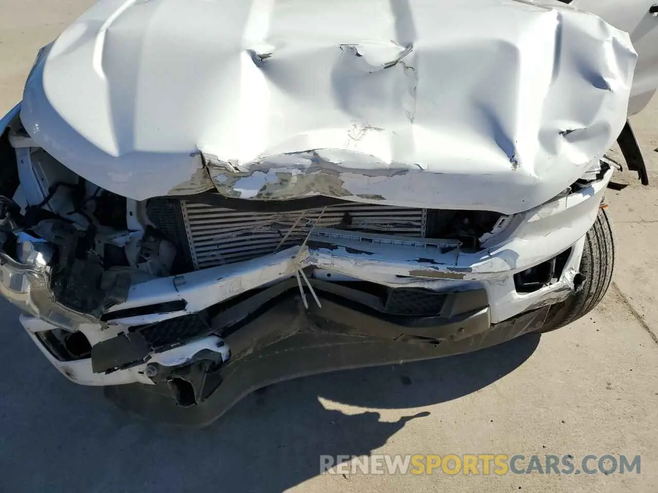 11 Photograph of a damaged car 1FTER4EHXLLA66320 FORD RANGER 2020