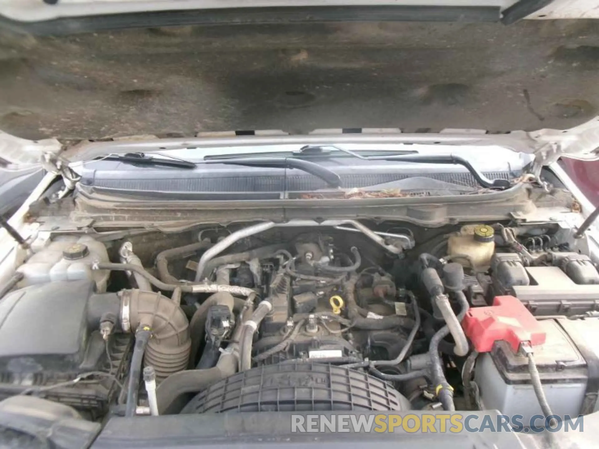 11 Photograph of a damaged car 1FTER1FH3MLD52721 FORD RANGER 2021
