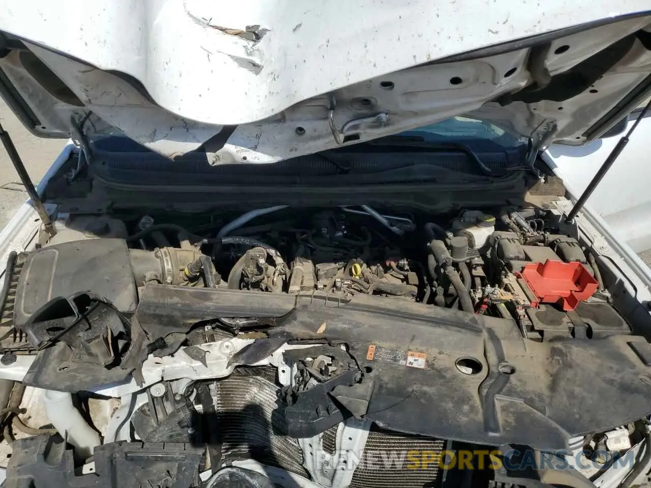11 Photograph of a damaged car 1FTER1FHXMLD03953 FORD RANGER 2021