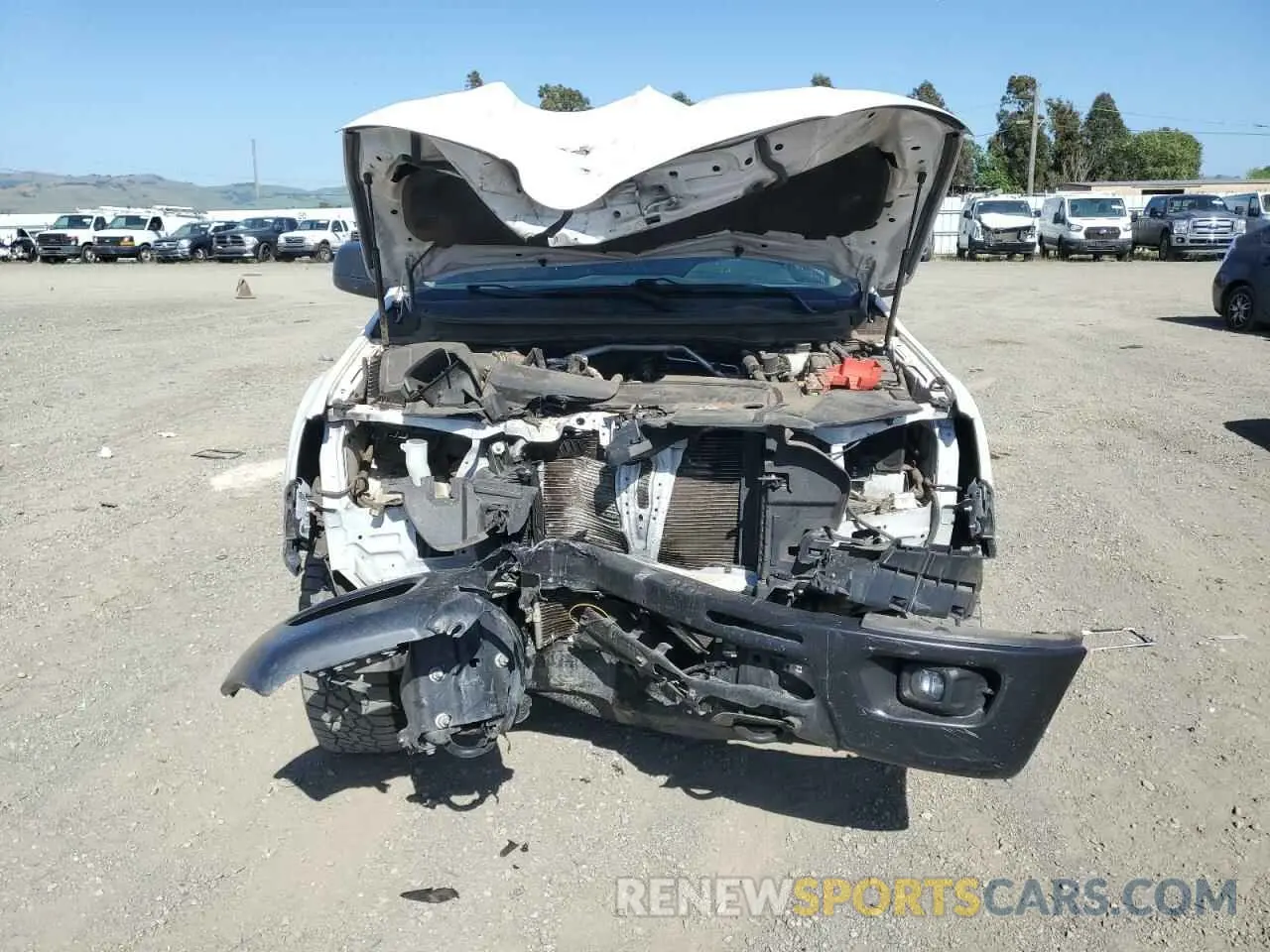 5 Photograph of a damaged car 1FTER1FHXMLD03953 FORD RANGER 2021
