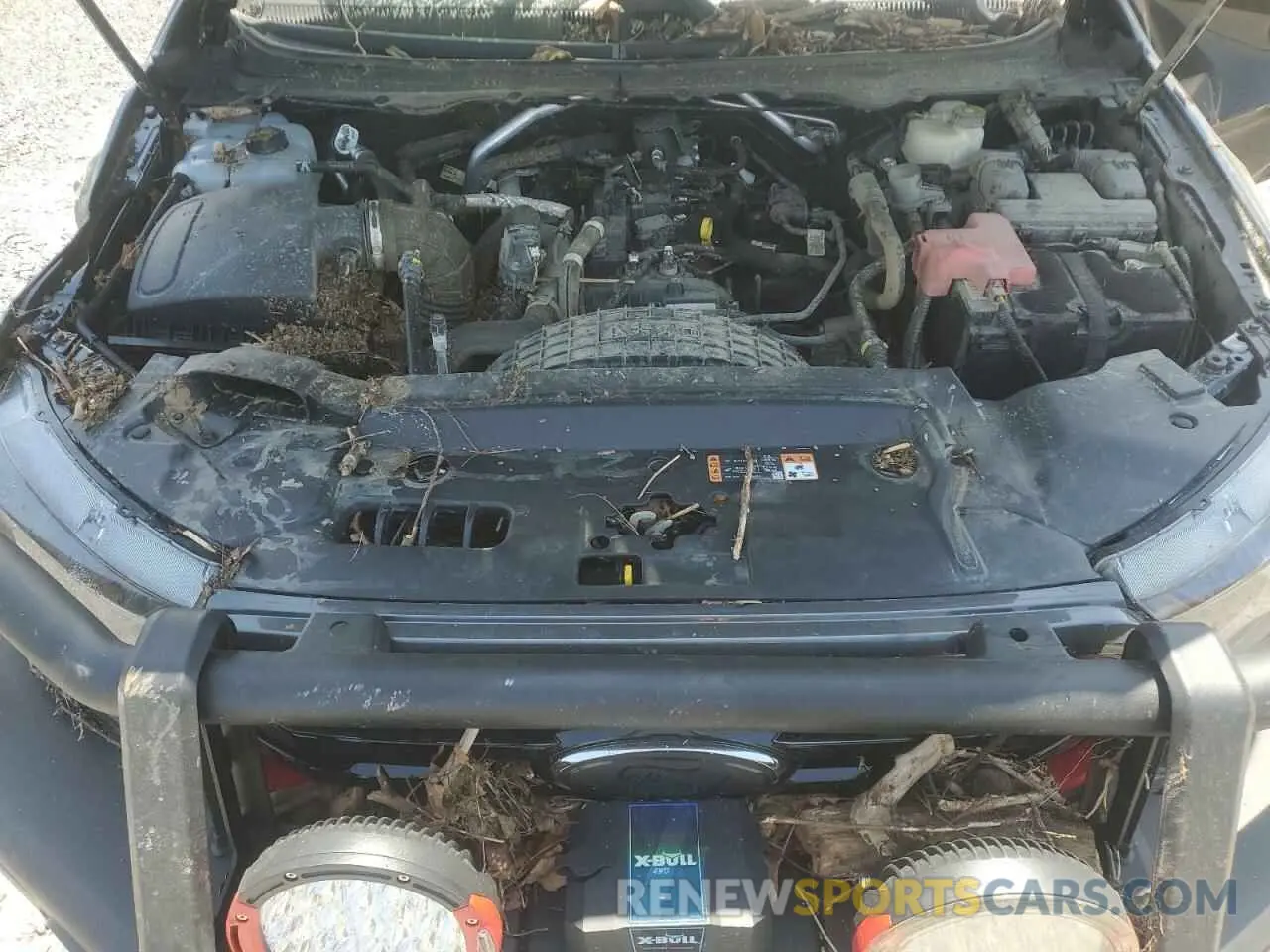11 Photograph of a damaged car 1FTER4FH1MLD41833 FORD RANGER 2021