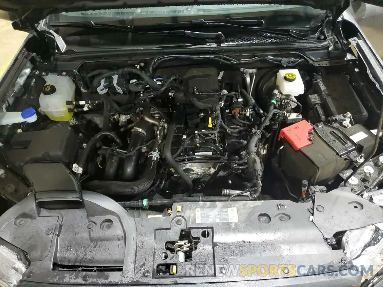 11 Photograph of a damaged car 1FTER4BH0RLE46179 FORD RANGER 2024