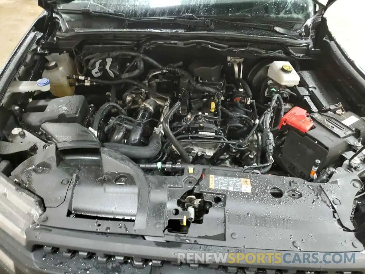 11 Photograph of a damaged car 1FTER4BH6RLE06950 FORD RANGER 2024