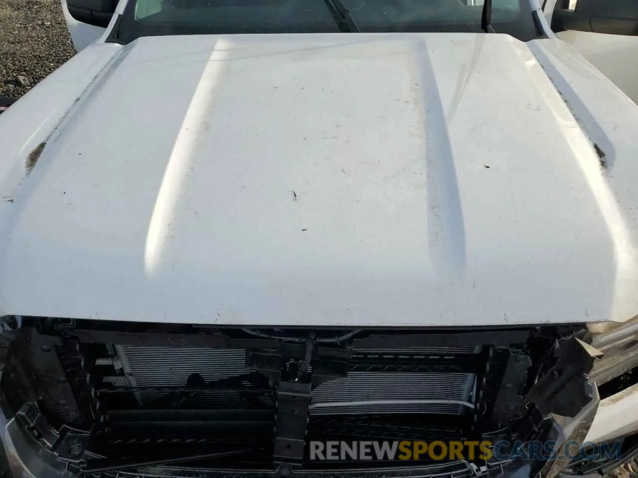 13 Photograph of a damaged car 1FTER4HH5RLE15159 FORD RANGER 2024
