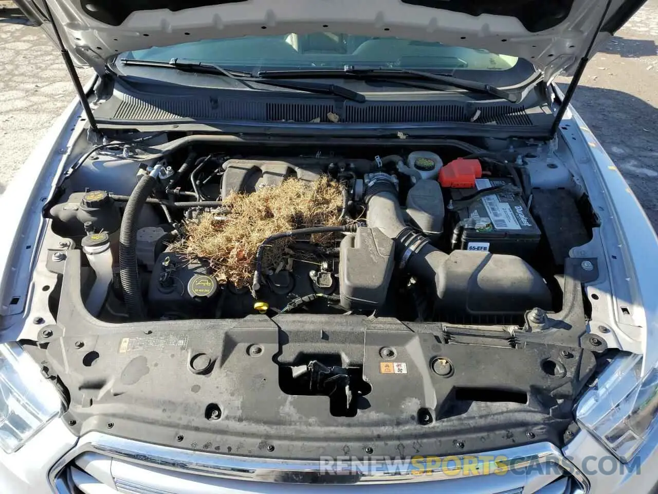 11 Photograph of a damaged car 1FAHP2F8XKG109329 FORD TAURUS 2019