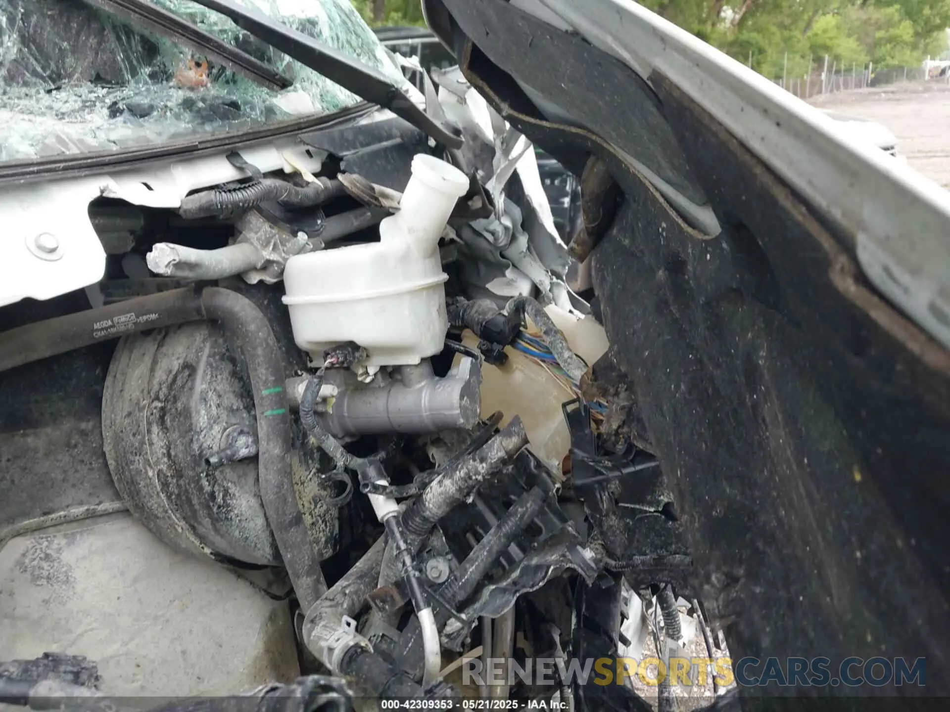 19 Photograph of a damaged car 1FTYE1ZM7KKA26506 FORD TRANSIT-150 2019
