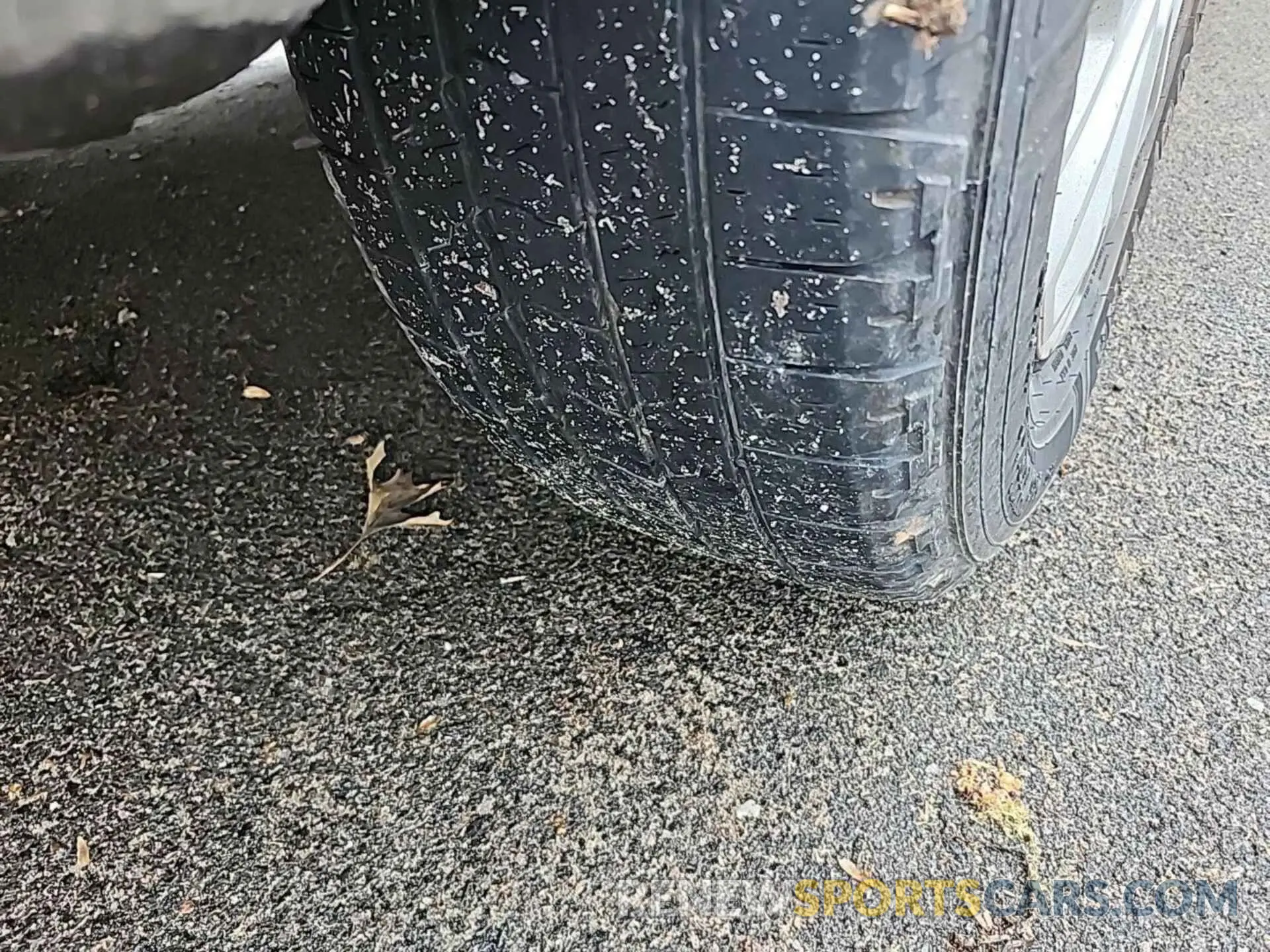 14 Photograph of a damaged car 1FTYE1Y84MKA41228 FORD TRANSIT-150 2021