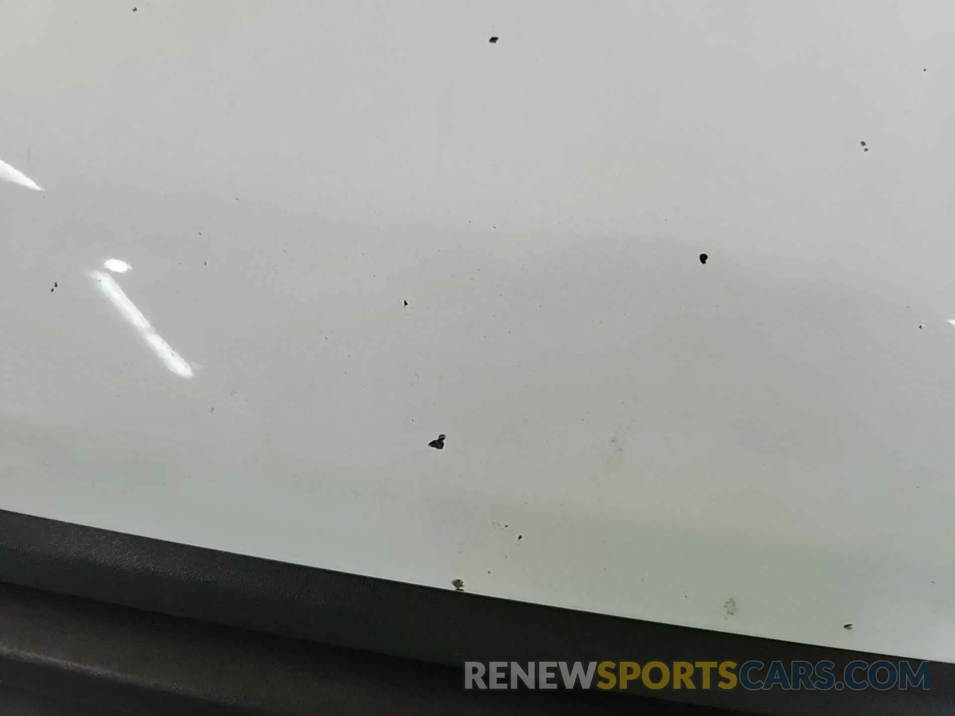 10 Photograph of a damaged car 1FTYE1YMXKKB31946 FORD TRANSIT 2019