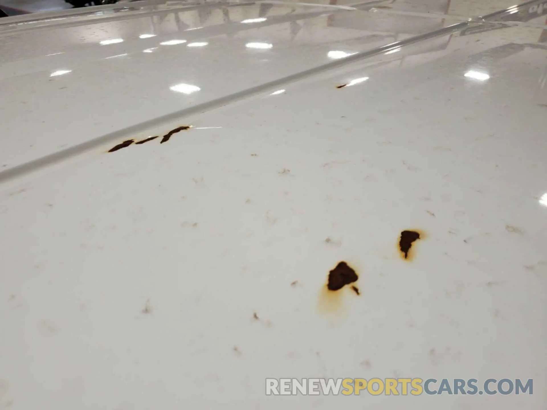 8 Photograph of a damaged car 1FTYR1YG7KKA31558 FORD TRANSIT 2019